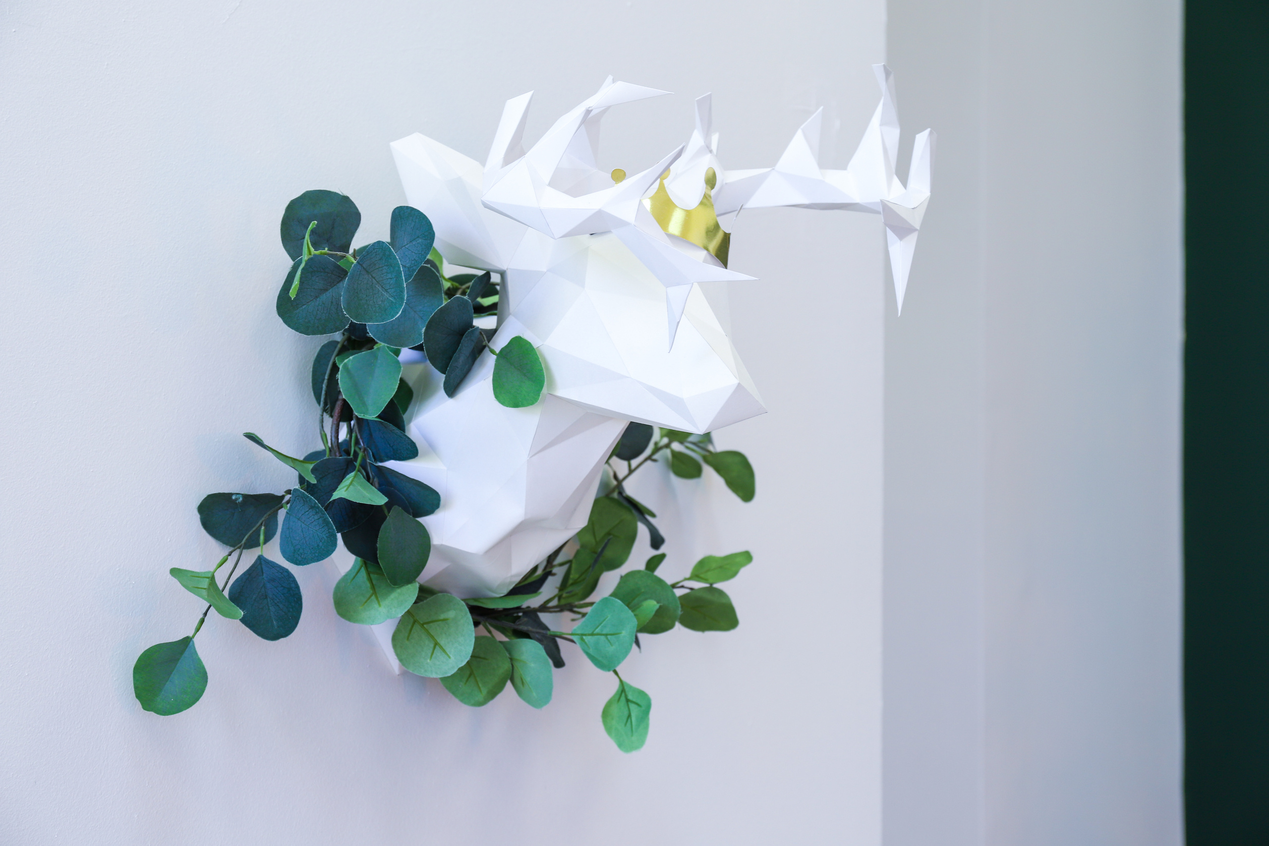 Лофт-пространство «Лес чудес». Фотограф в Санкт-Петербурге Наталья Брилькова