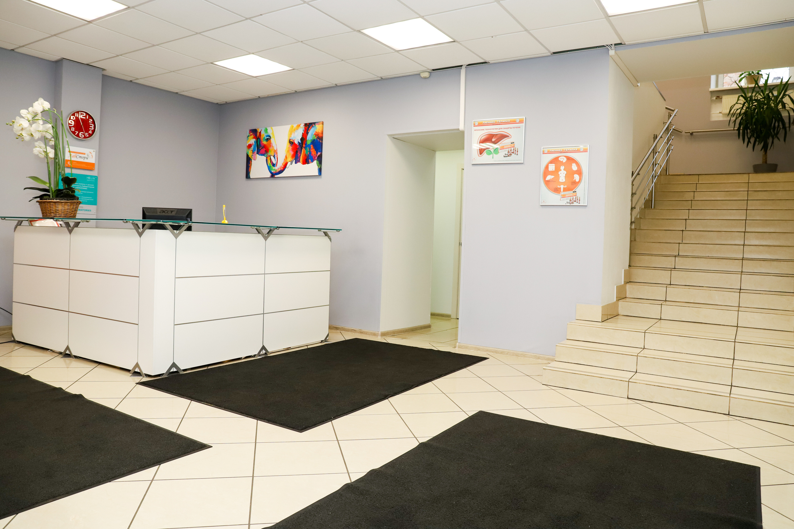 Медицинский центр «НС Клиник». Фотограф в Санкт-Петербурге Наталья Брилькова