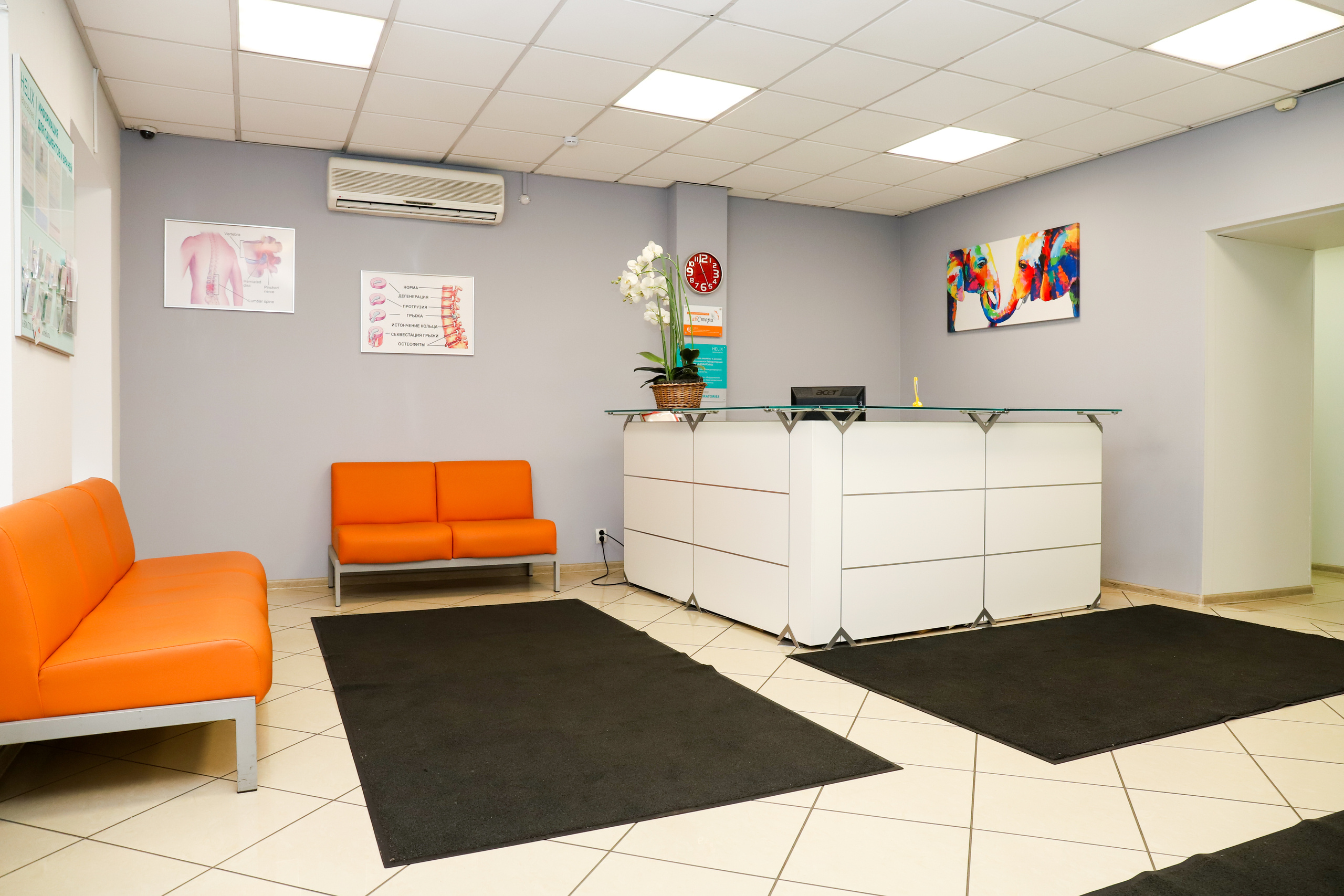 Медицинский центр «НС Клиник». Фотограф в Санкт-Петербурге Наталья Брилькова