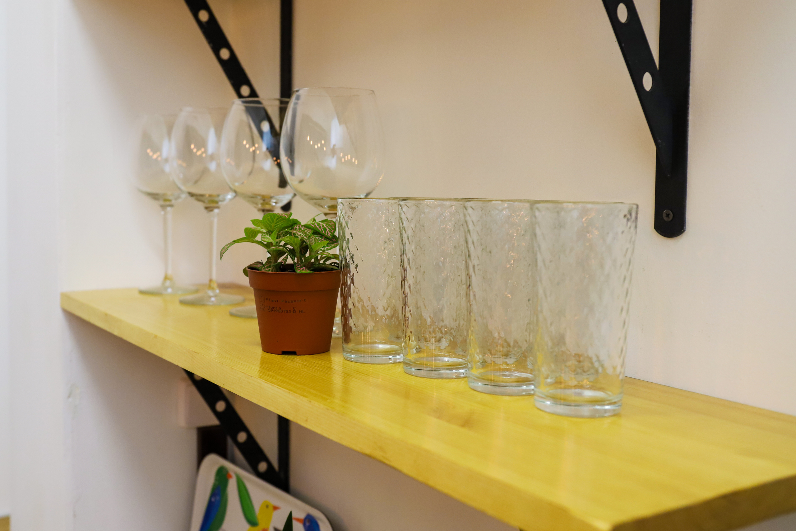 Лофт-пространство «Лес чудес». Фотограф в Санкт-Петербурге Наталья Брилькова