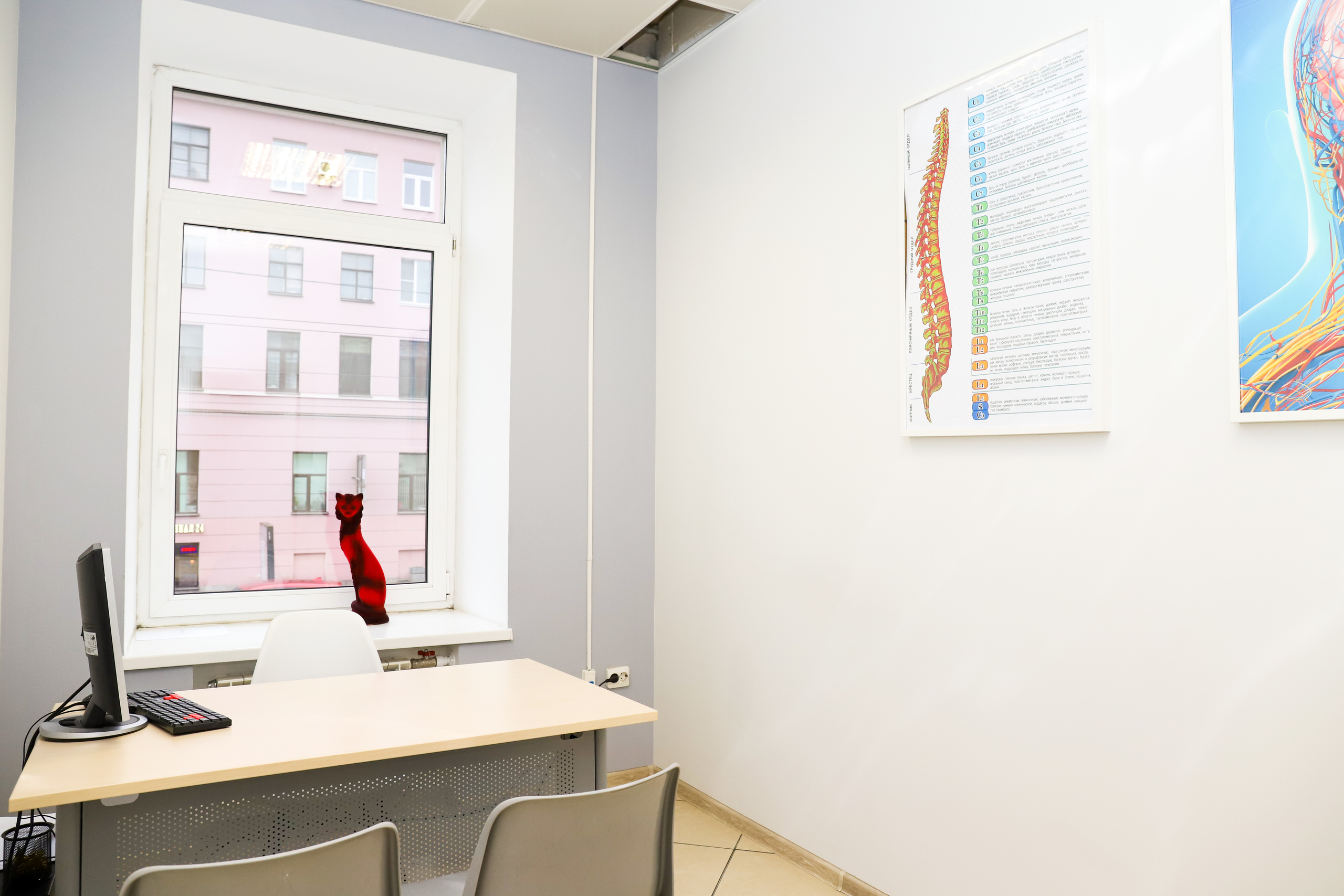 Медицинский центр «НС Клиник». Фотограф в Санкт-Петербурге Наталья Брилькова