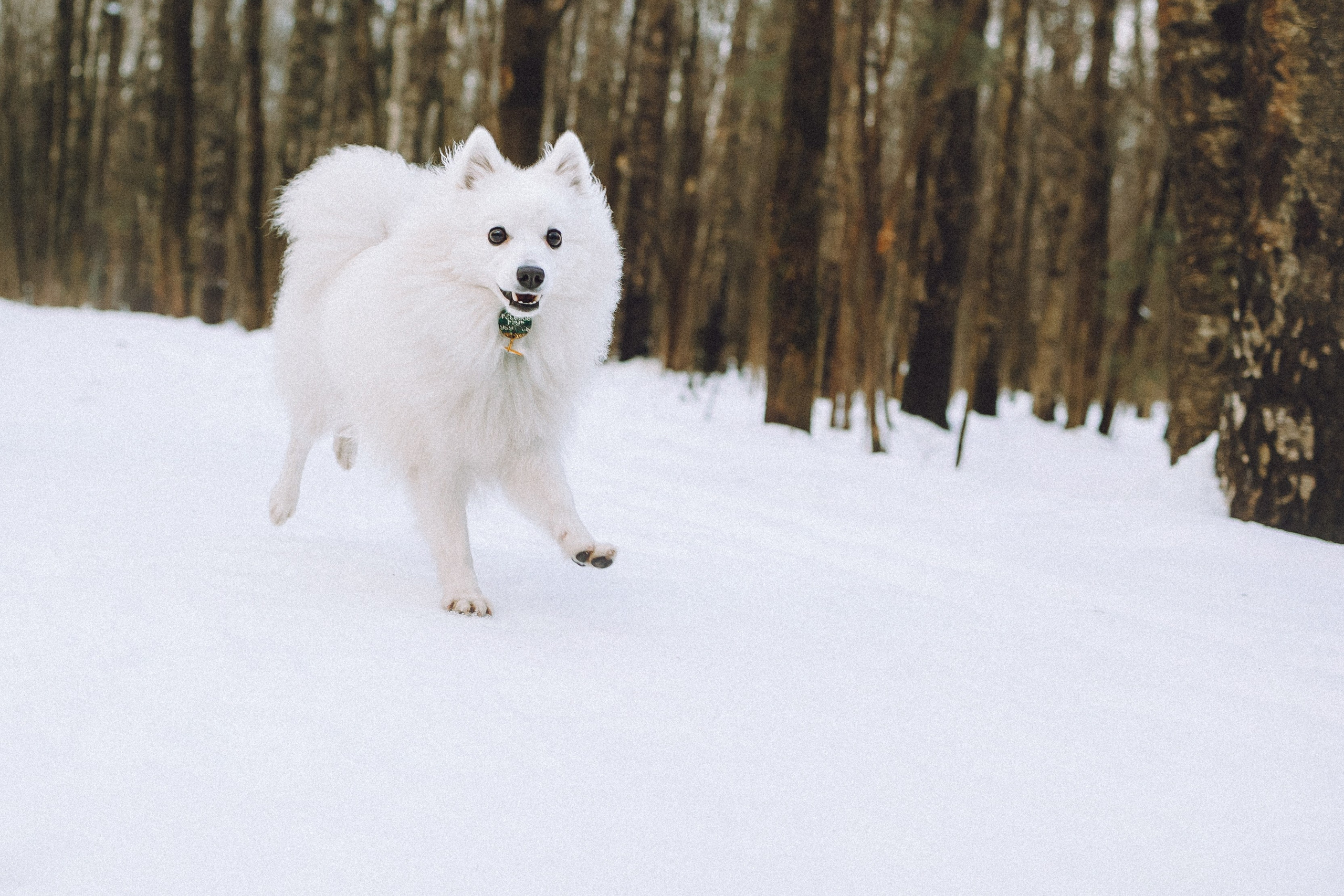 Шани и ее семья
