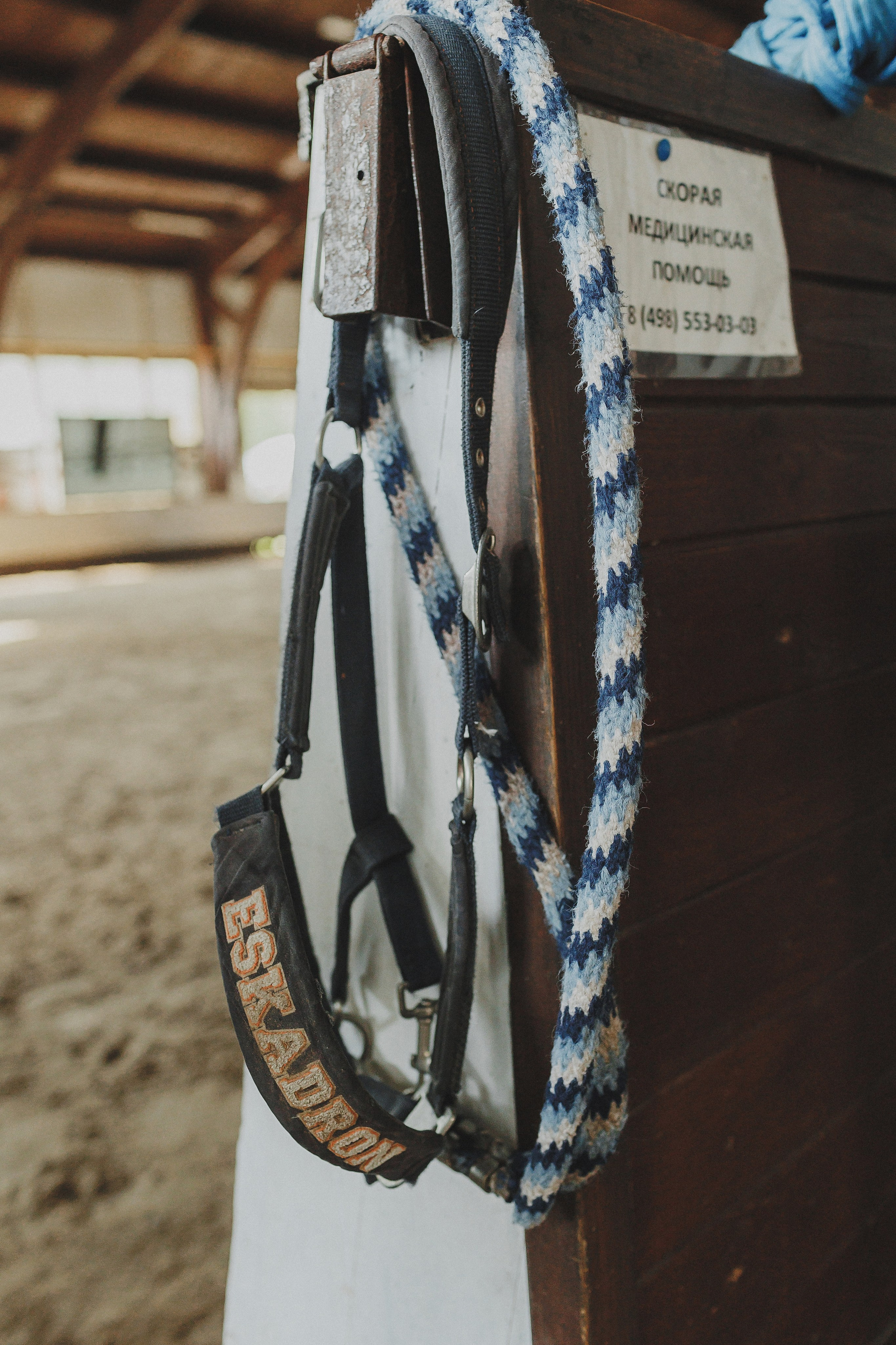 Фотосессия с конем. Фотограф в Москве и Люберцах Анна Ушакова