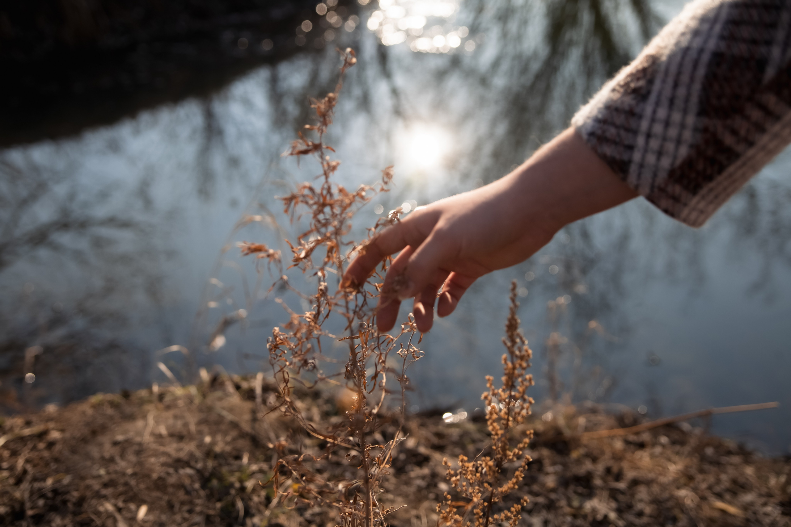 Фотосессия будущей мамы. В ожидании. Женский портрет. Арт-фотограф. Фотосъемка, авторские принты для интерьера