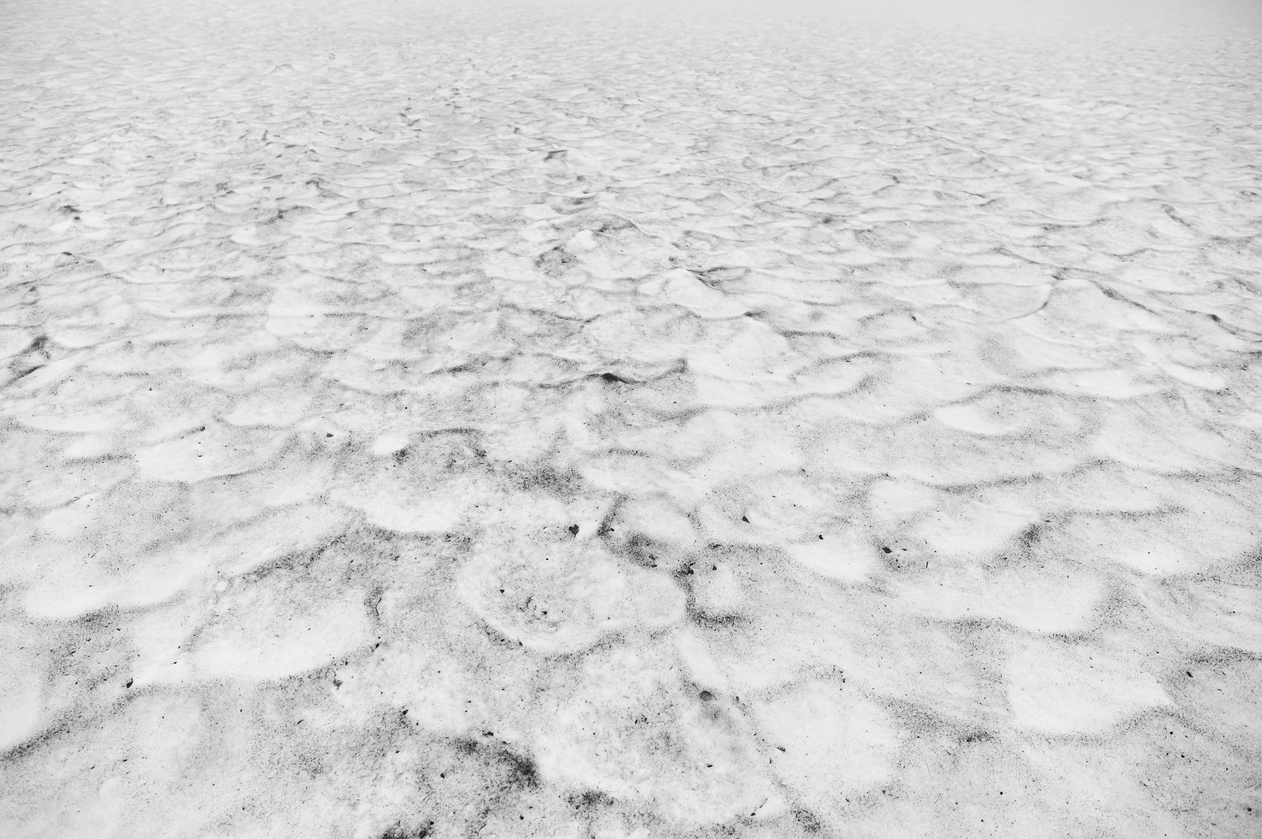 Камчатка 08.2024. Фотограф Марина Росси