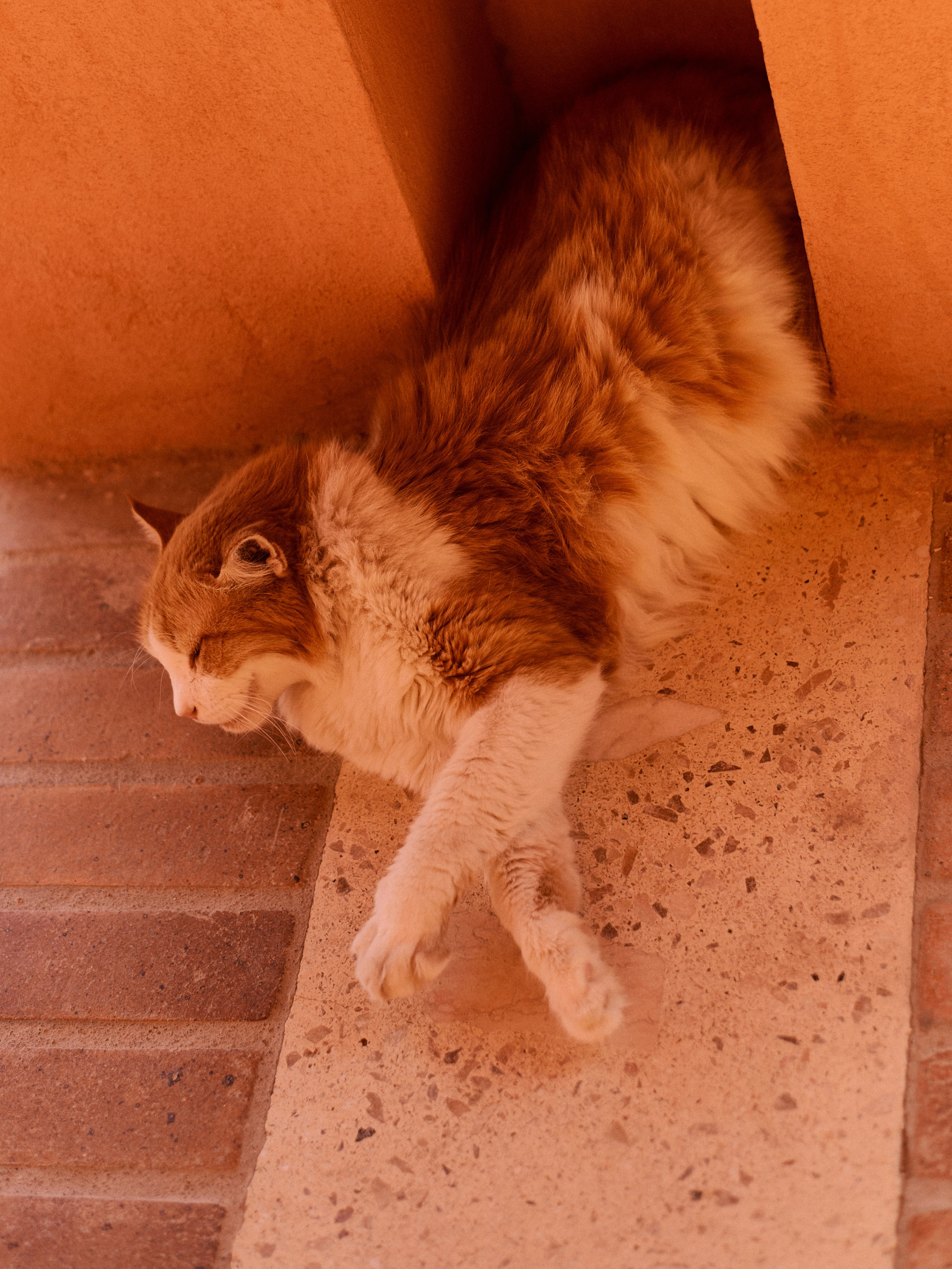 Другое 3. Jorgis Talè — photographer, kind person, teacher of arts and other mag