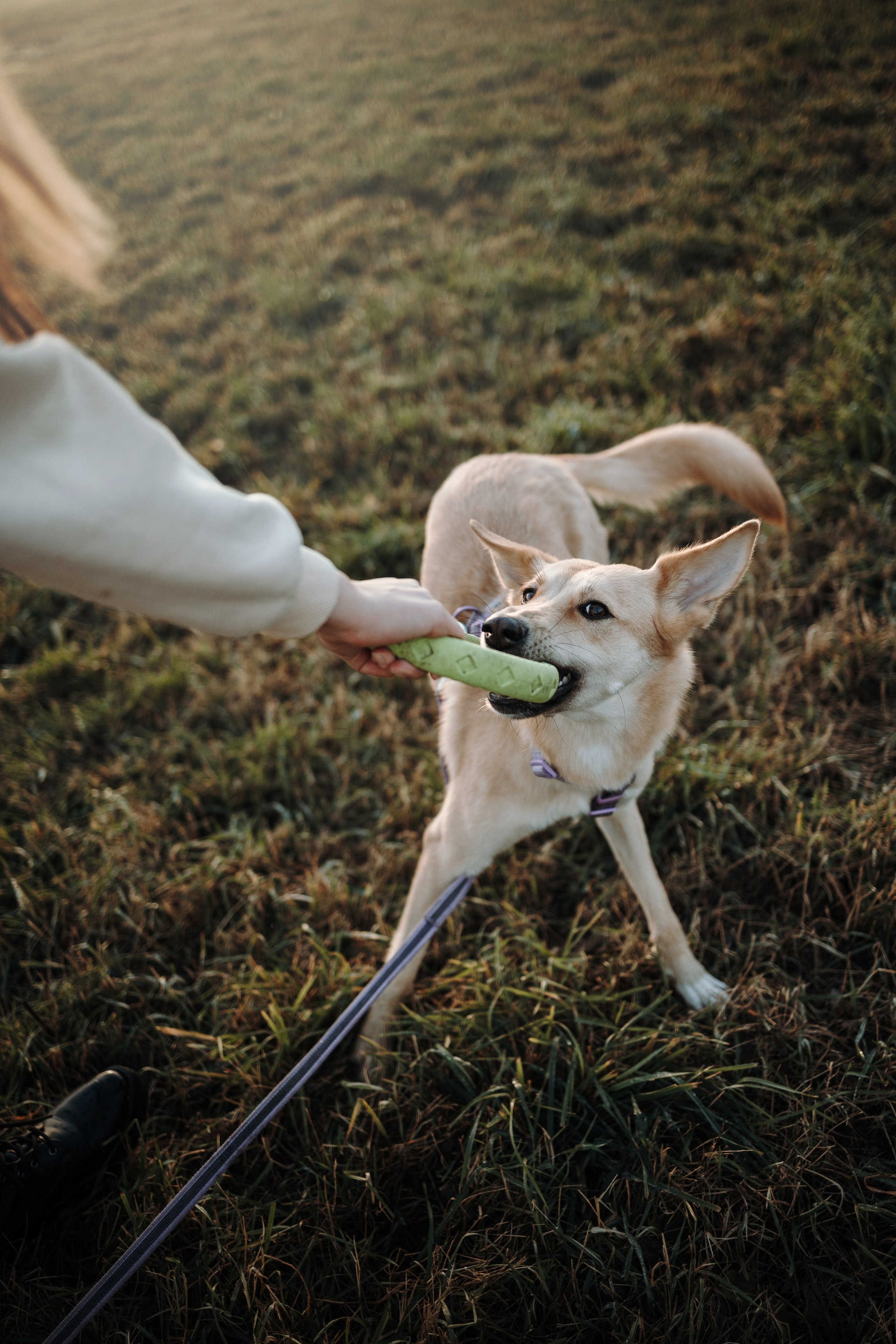 Юля и Джесси. Фотограф — Анималист | Санкт-Петербург