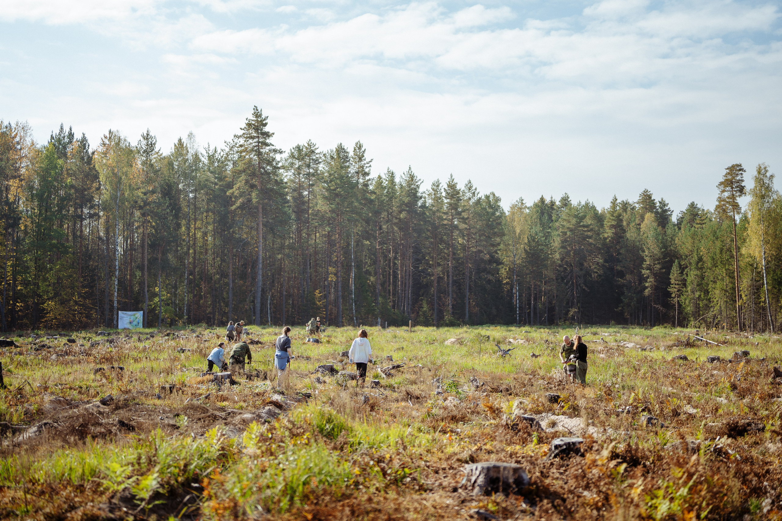 СБЕР · ЭКА · Посадка сеянцев. Владимир Вершинин, тот самый свадебный видеограф