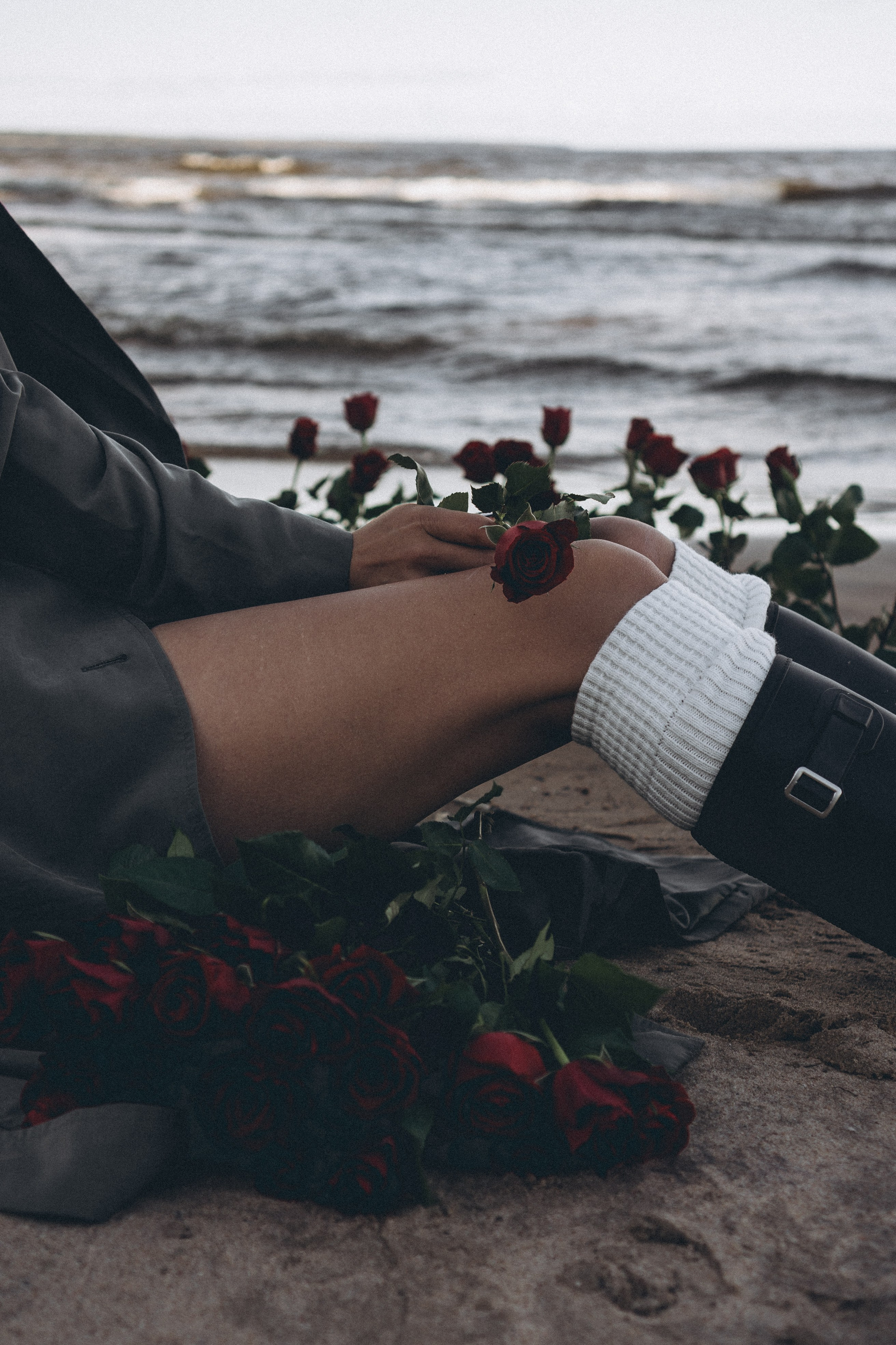 Розы. Профессиональный фотограф, Санкт-Петербург — Виктория Богомолова