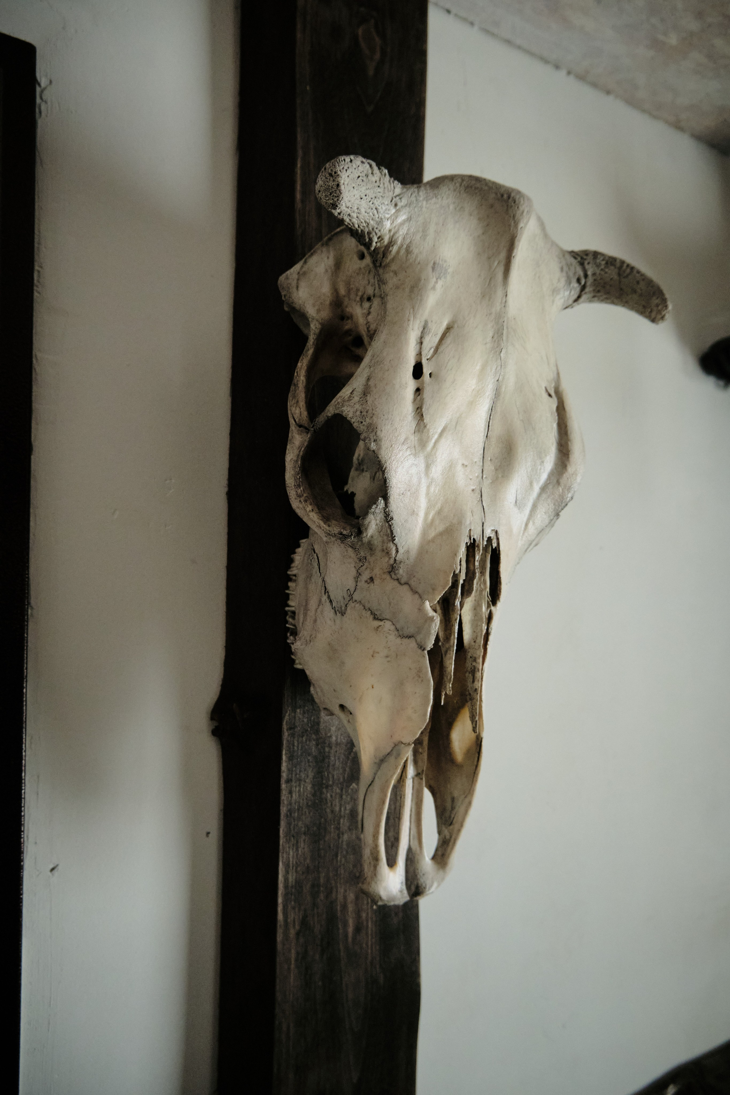 Цветочная 12. Свадебный и семейный фотограф в Новокузнецке Иван Иванов