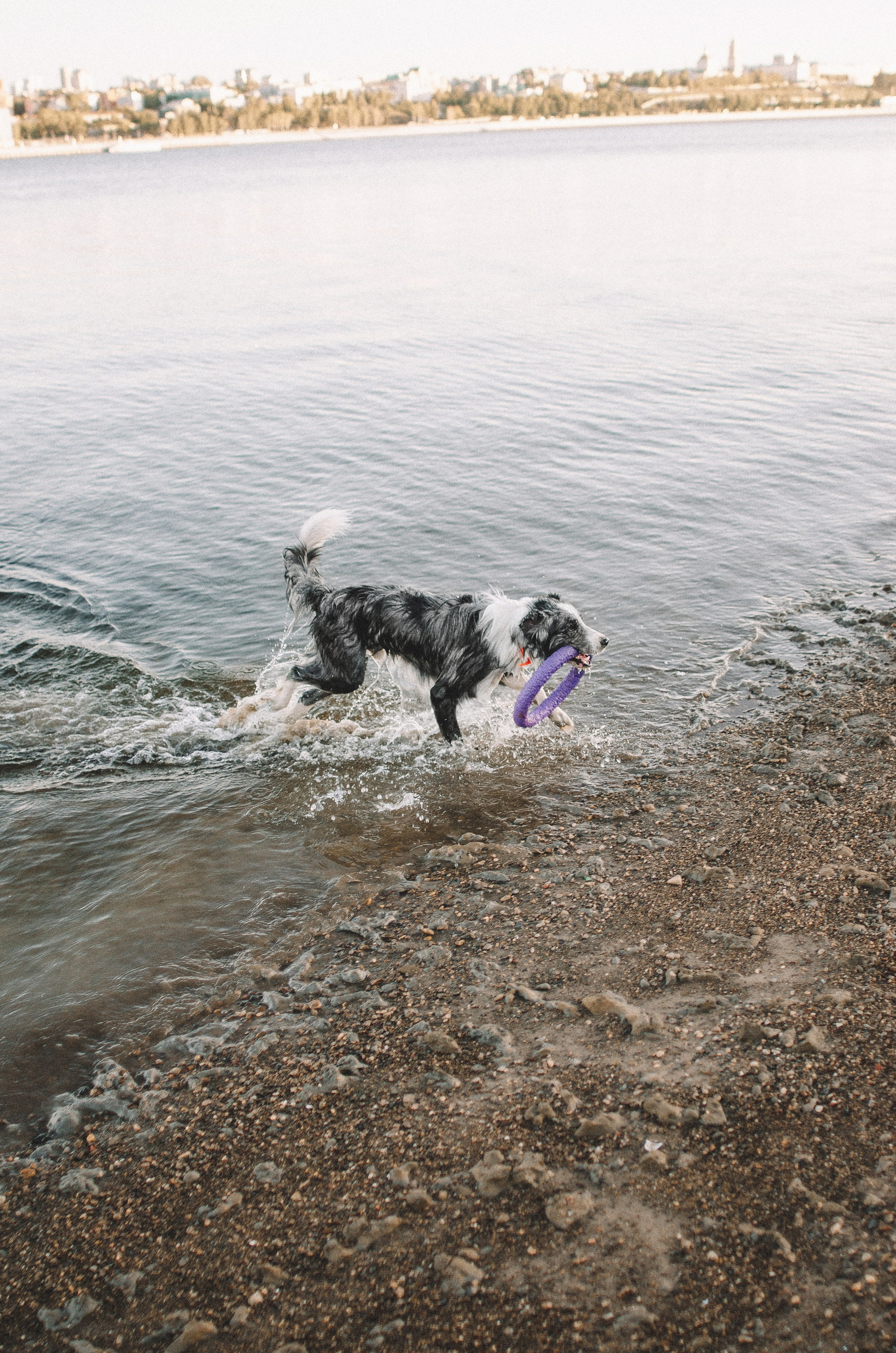 Таня и Бриллиант. Фотограф-анималист Богданова Полина