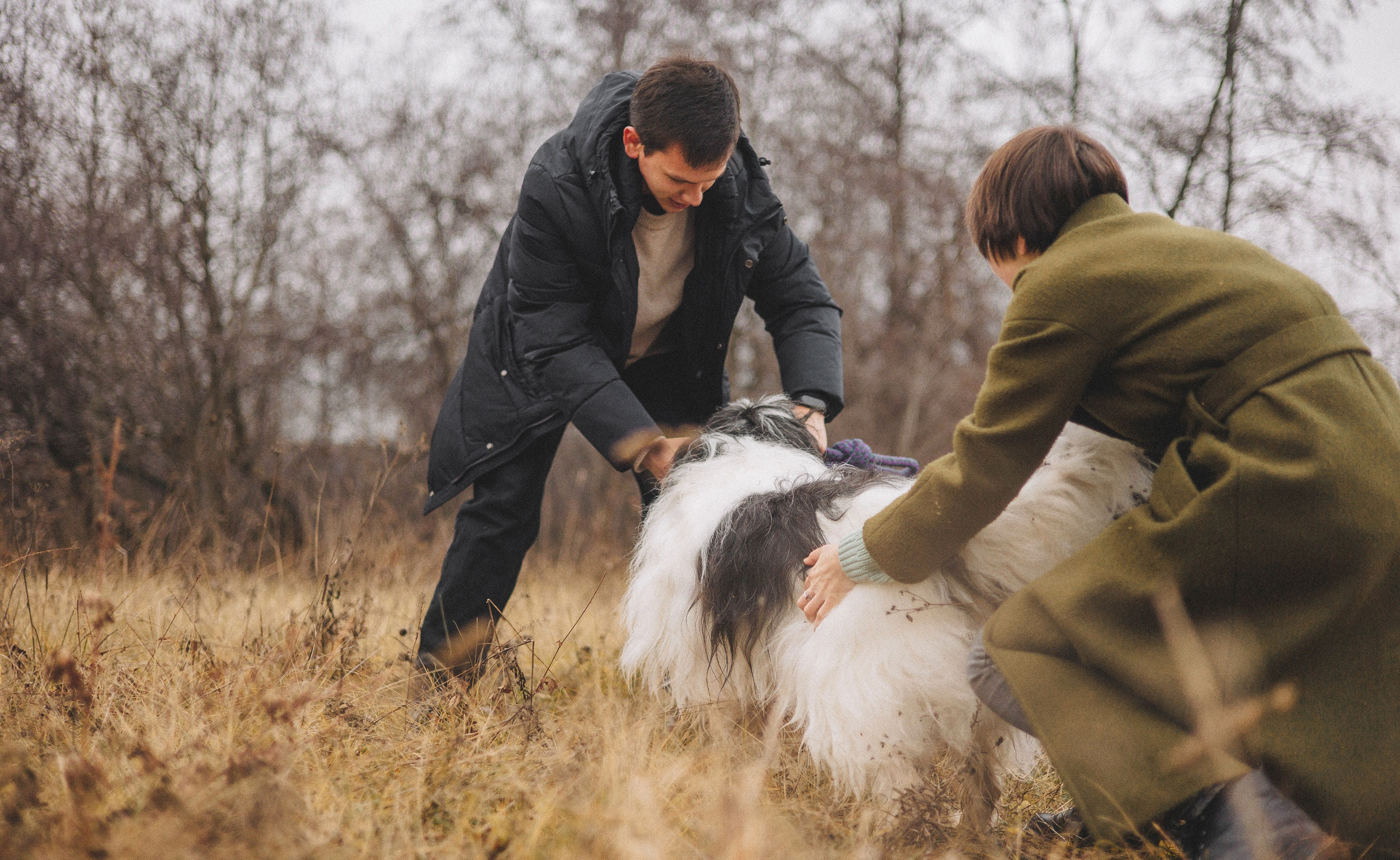 Даша, Глеб, Барс и Бруно. Фотограф-анималист Богданова Полина