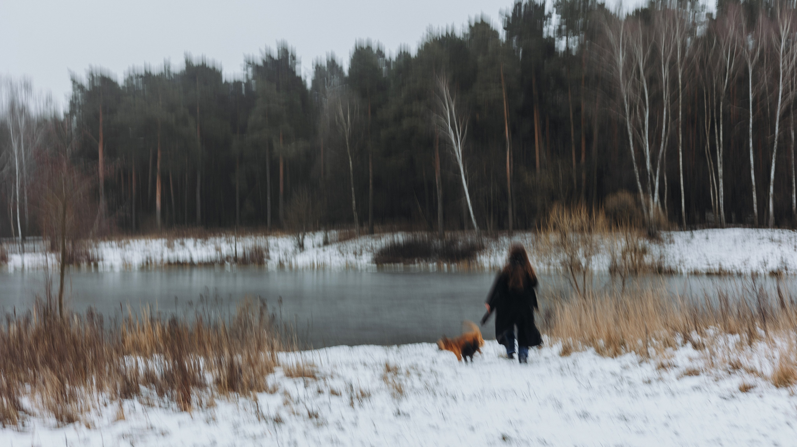 Юля, Лара и Йоми. Фотограф-анималист Богданова Полина