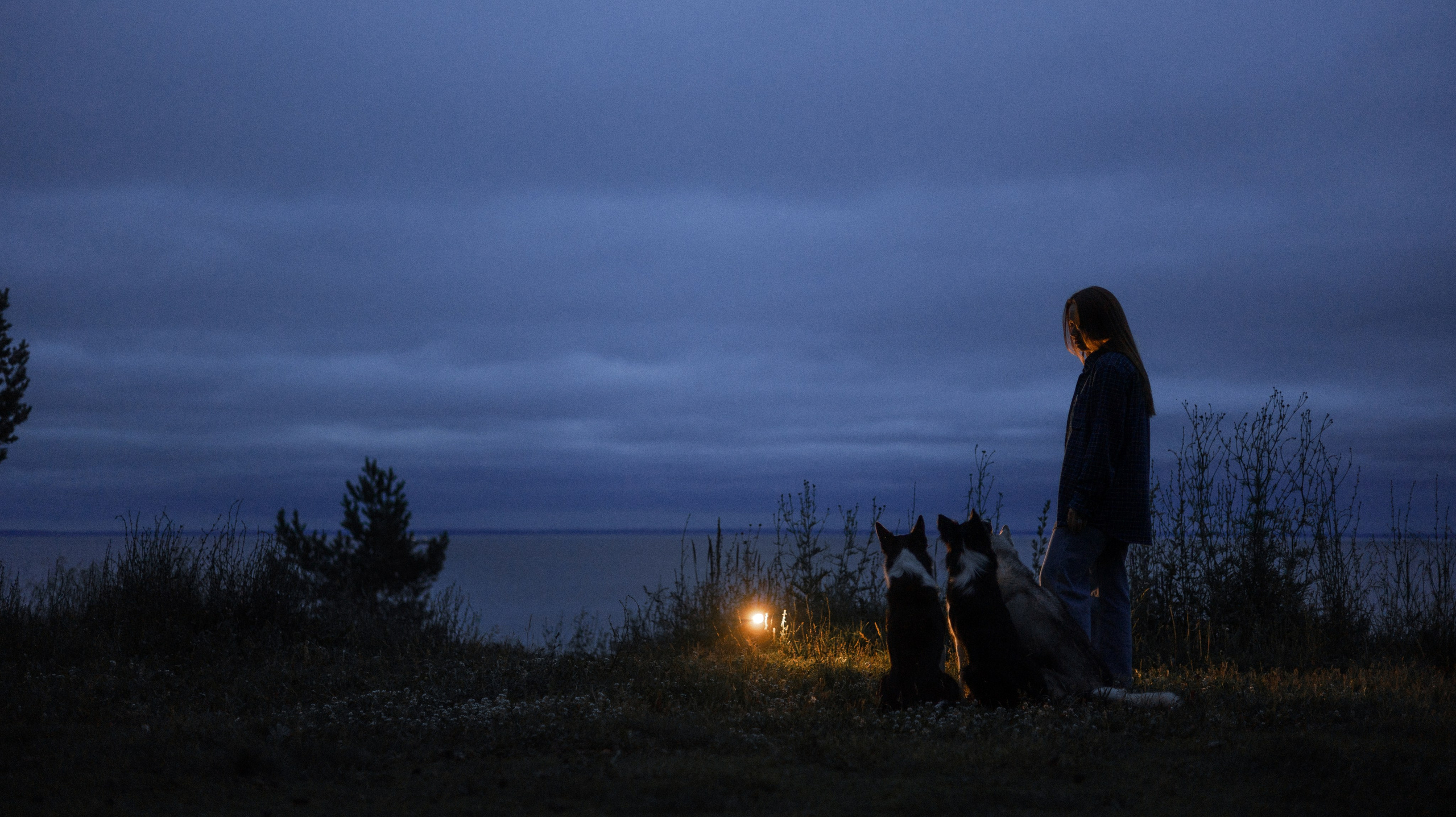 Аделя, Вандер, Шайна и Бая. Фотограф-анималист Богданова Полина