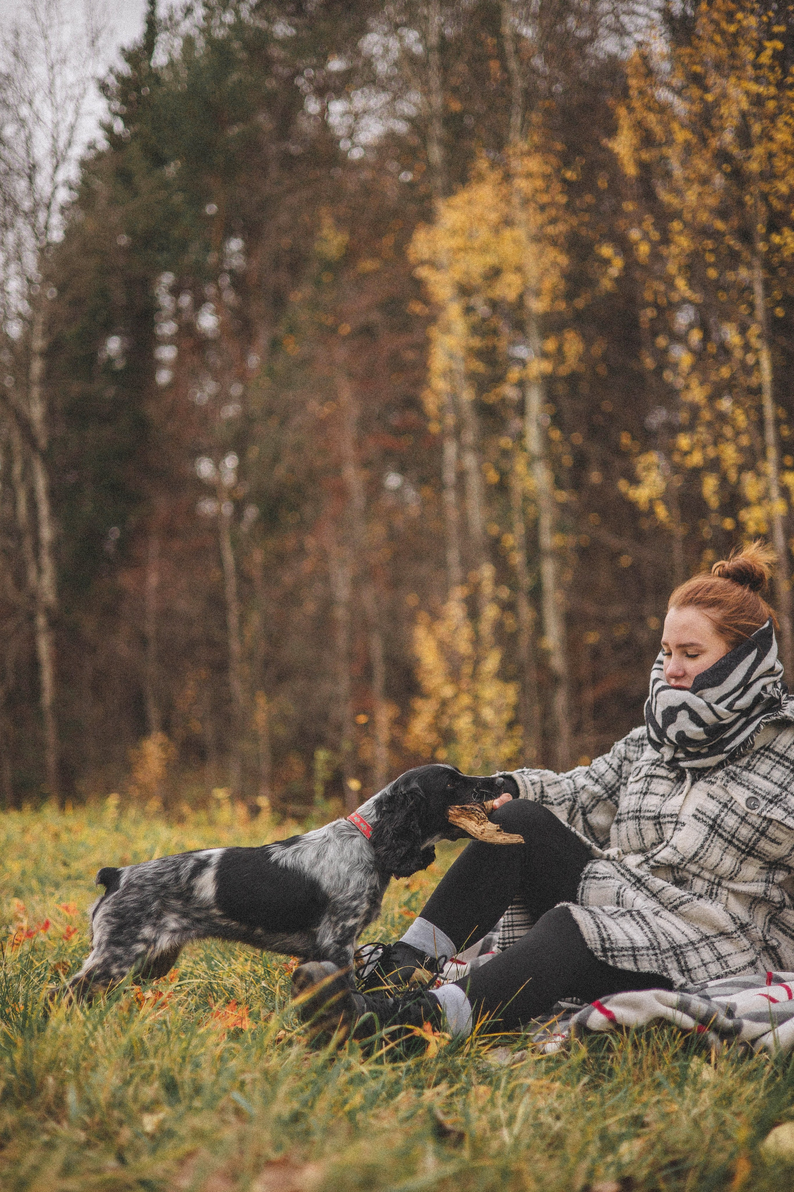 Вика и Ава. Фотограф-анималист Богданова Полина