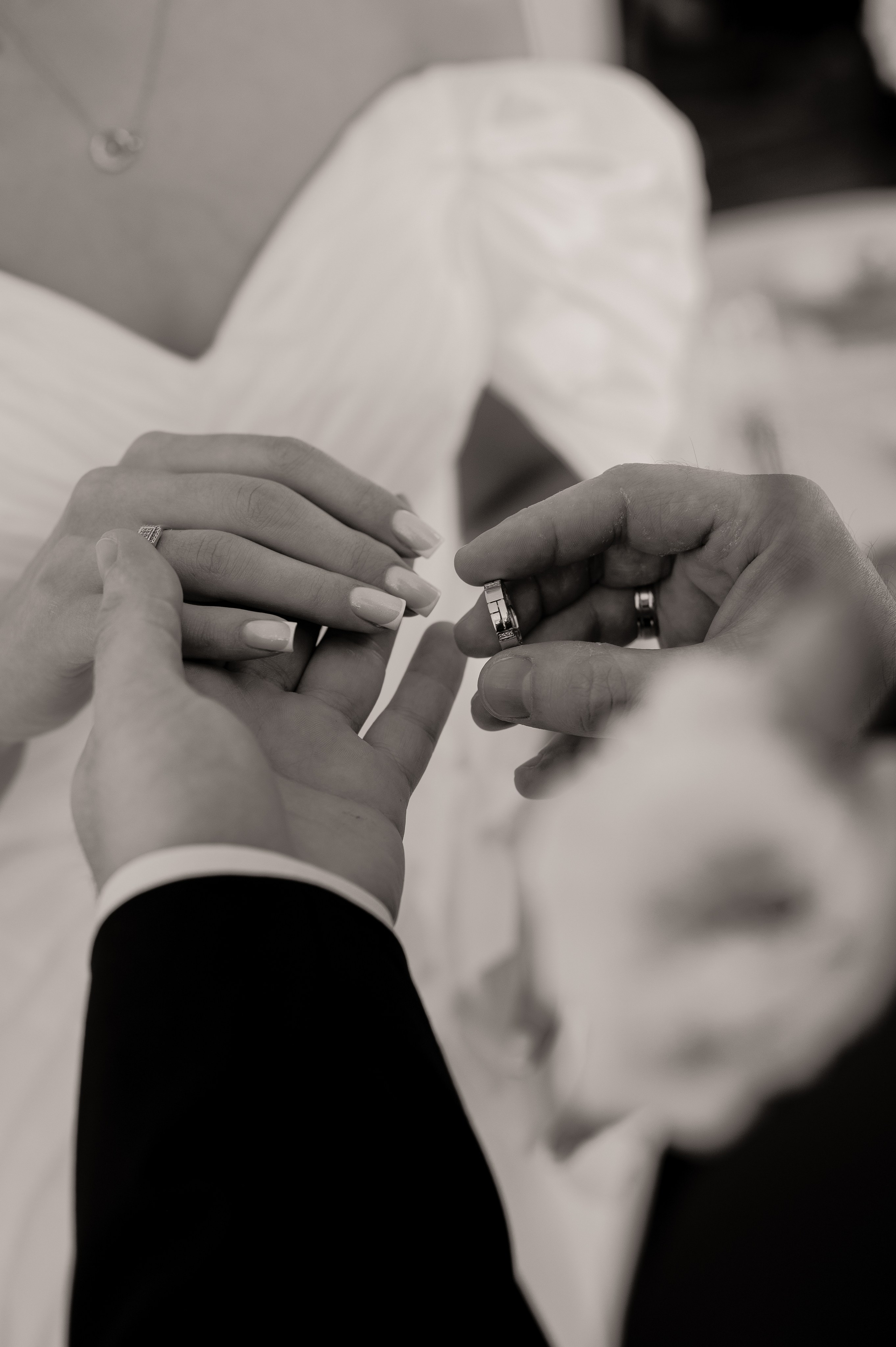 Сергей и Анастасия. Свадебный и семейный фотограф в Краснодаре Алина Мельник