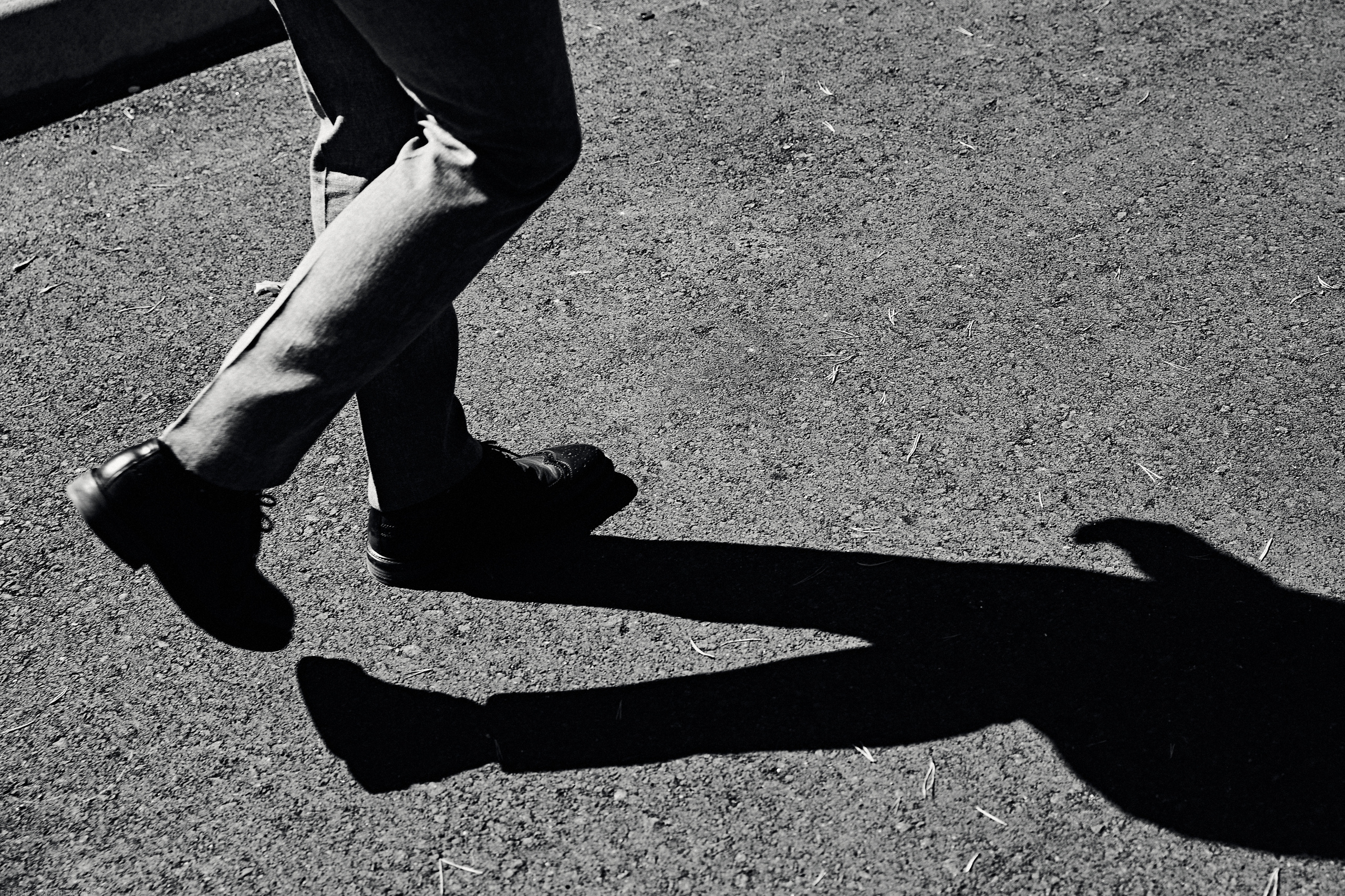 VOICE IN MY HEAD. Дмитрий Мазуркевич: Профессиональный Репортажный Фотограф