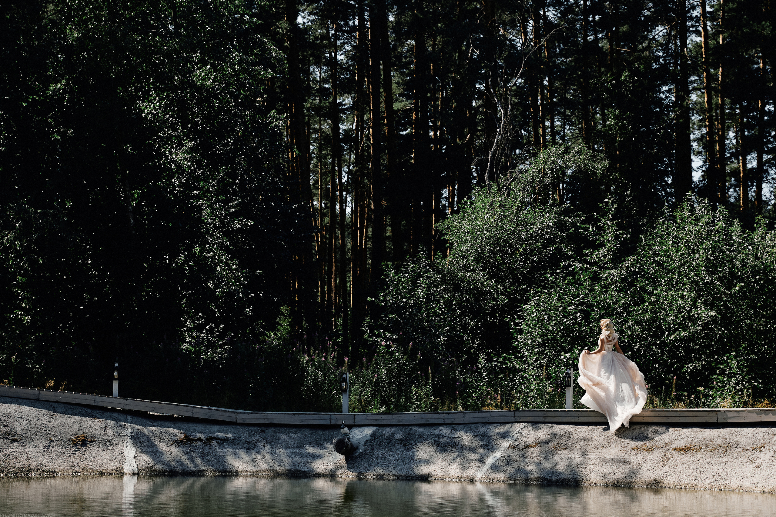 VOICE IN MY HEAD. Дмитрий Мазуркевич: Профессиональный Репортажный Фотограф