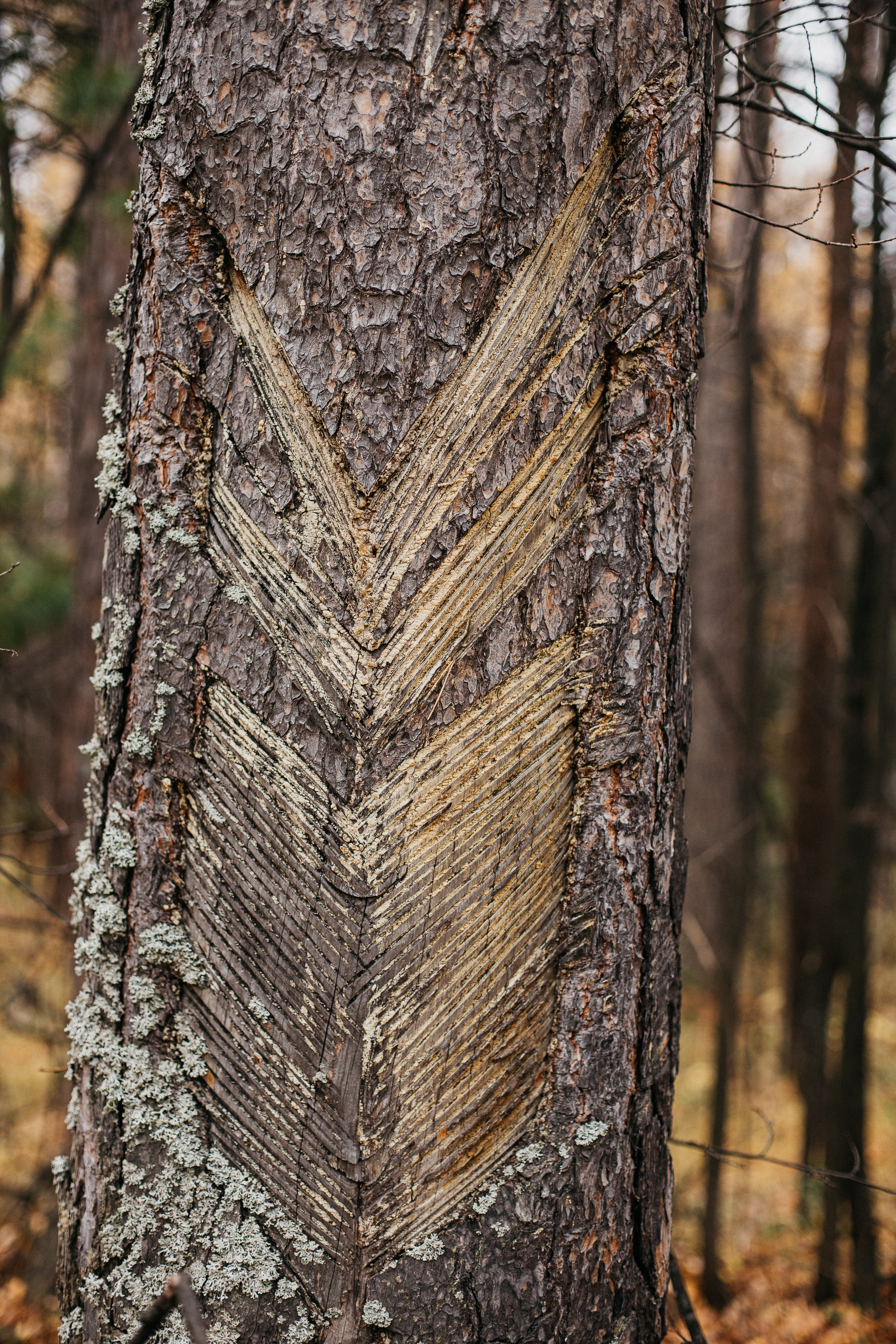 Семь Братьев. Семейный фотограф Трусова Евгения в Екатеринбурге