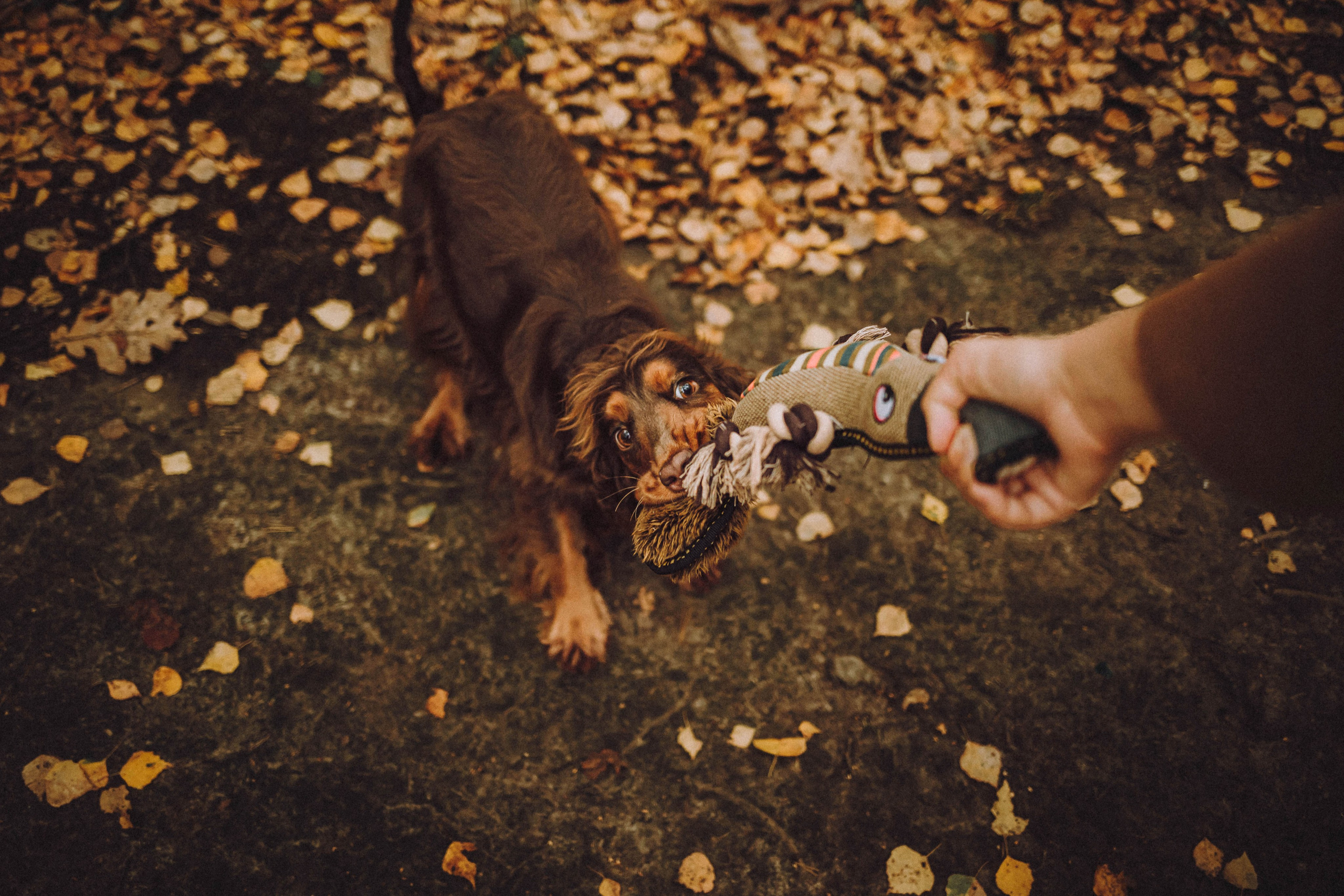 Настя, Саша и Эстер