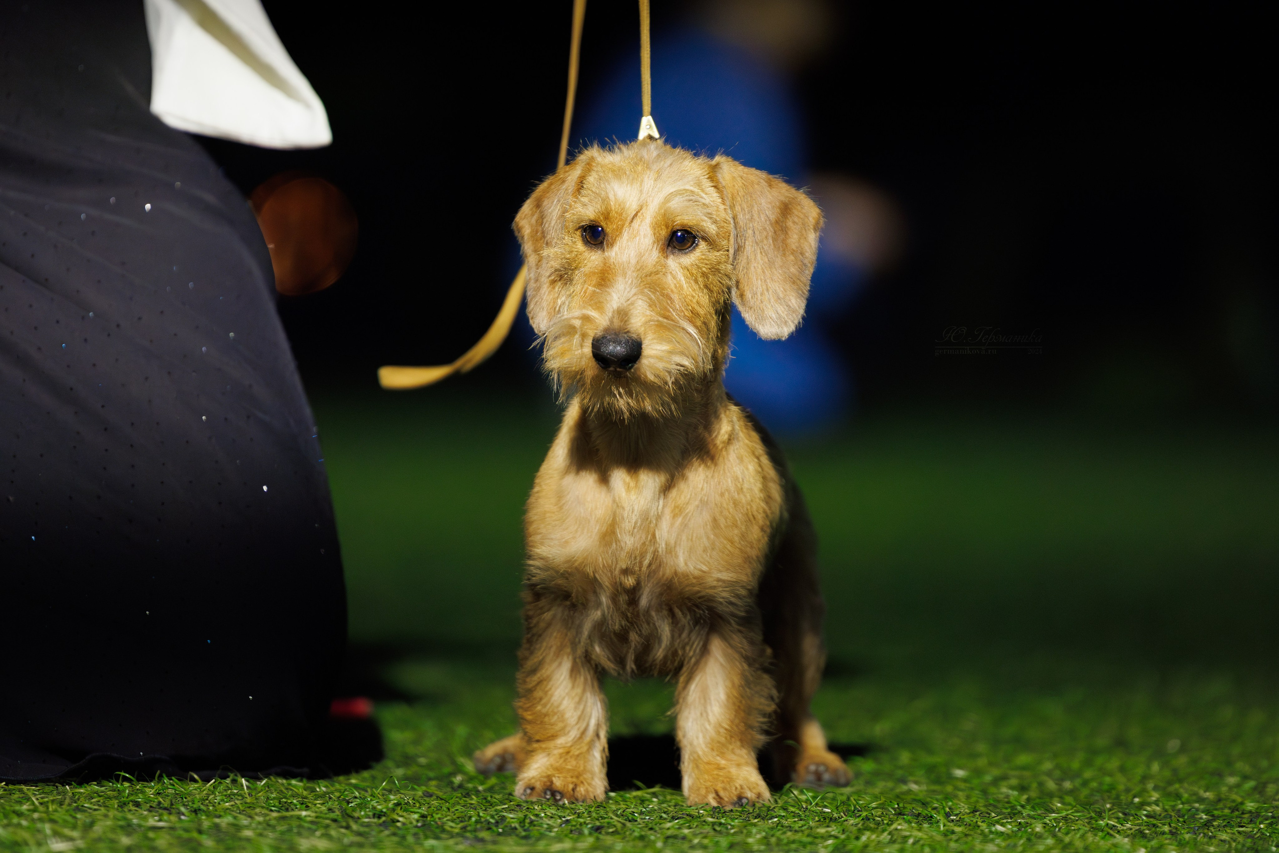 Волгоград 2-4.08.2024. Фотограф-анималист Юлия Германика