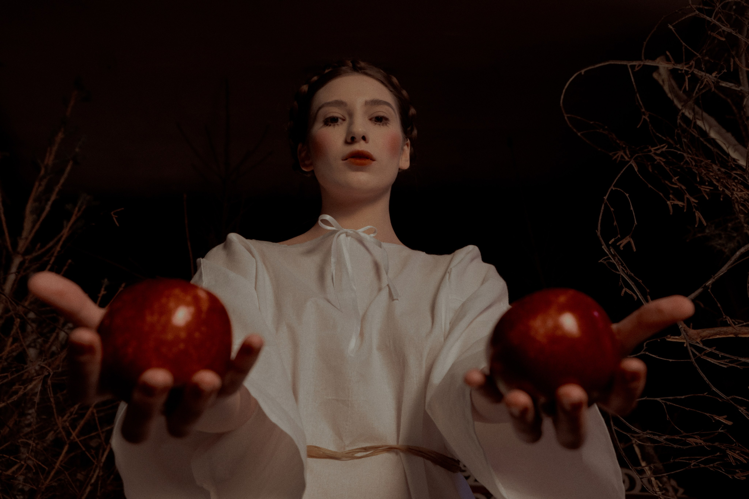 Гуси Лебеди. Фотограф Настя Лев