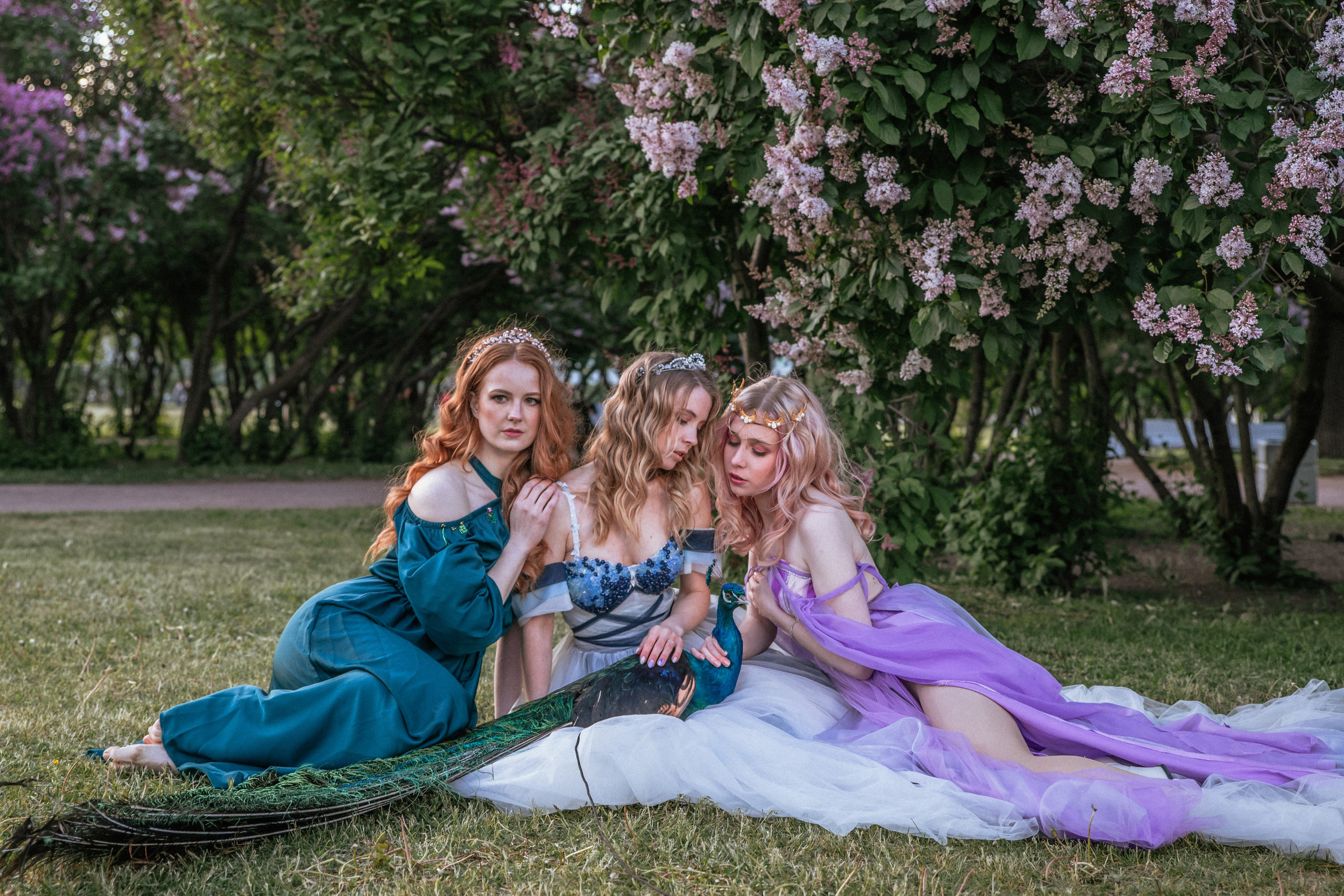 Павлин. Elena Sova — семейный и женский фотограф в Санкт-Петербурге