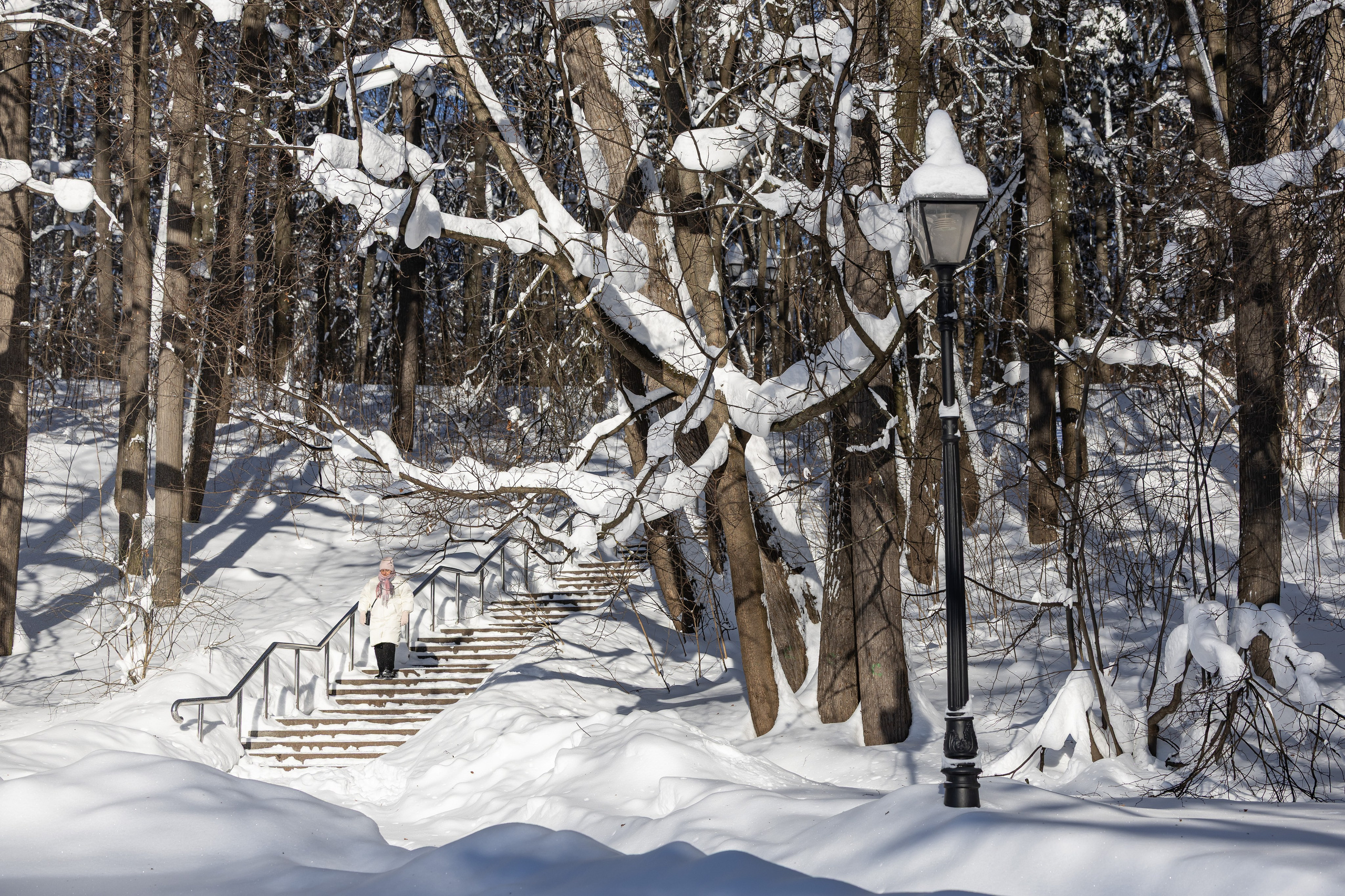 Природа. Фотограф Владимир Охрименко