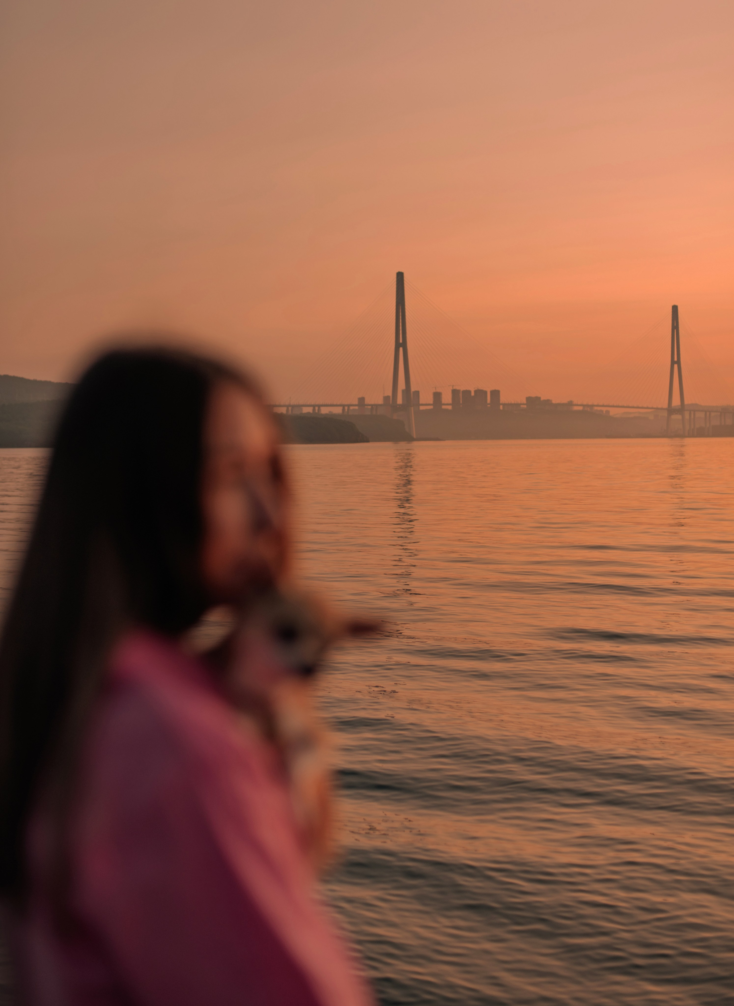 Прогулка: чихуахуа Хенни и Алина во Владивостоке. Портфолио