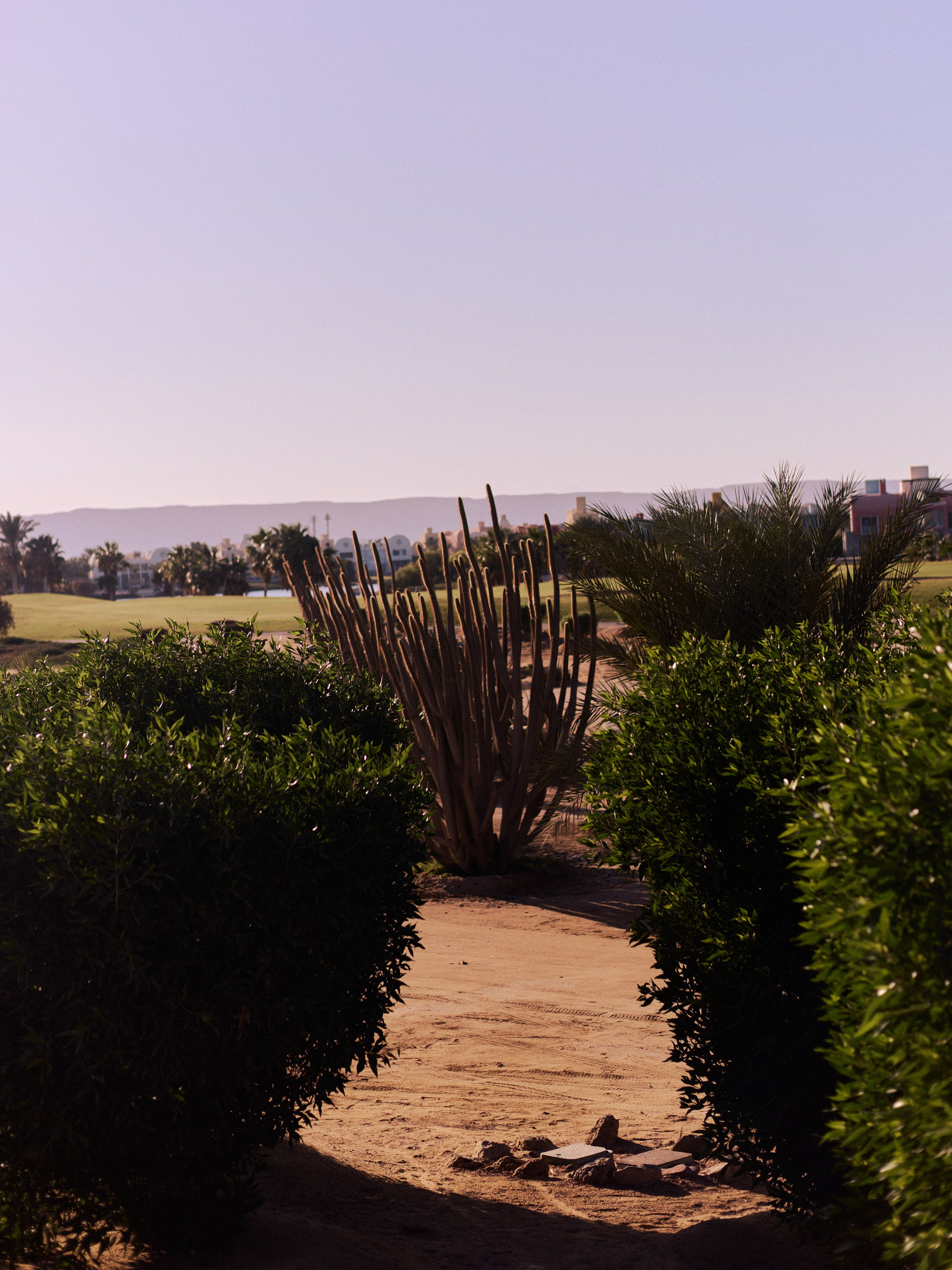 Другое 4. Jorgis — фотограф в Хургаде / обучение фотографии