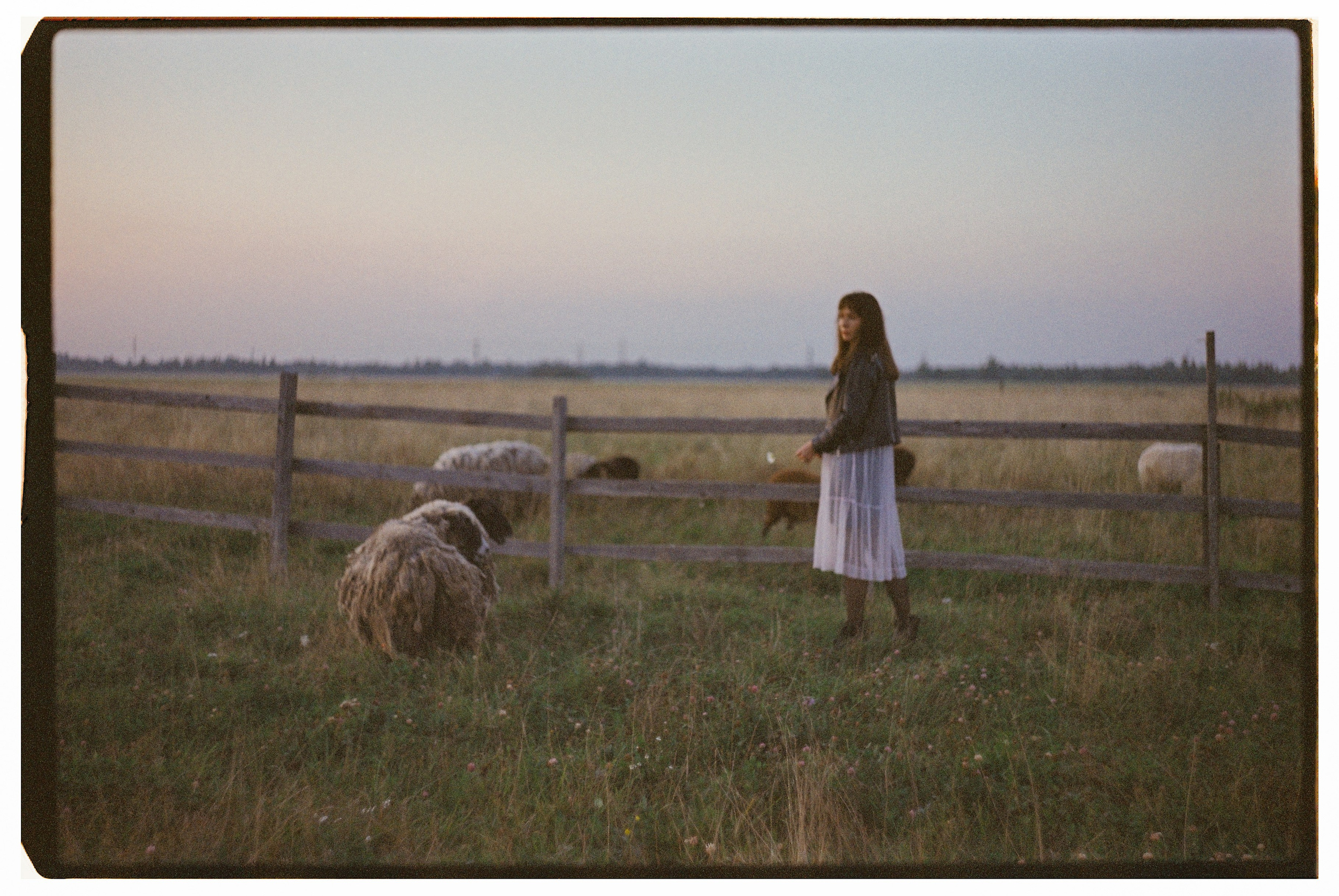Портретная фотосессия на плёнку 35 мм на ферме в Санкт-Петербурге. Светлана Гопанюк. Портретный фотограф. Санкт-Петербург. СПб