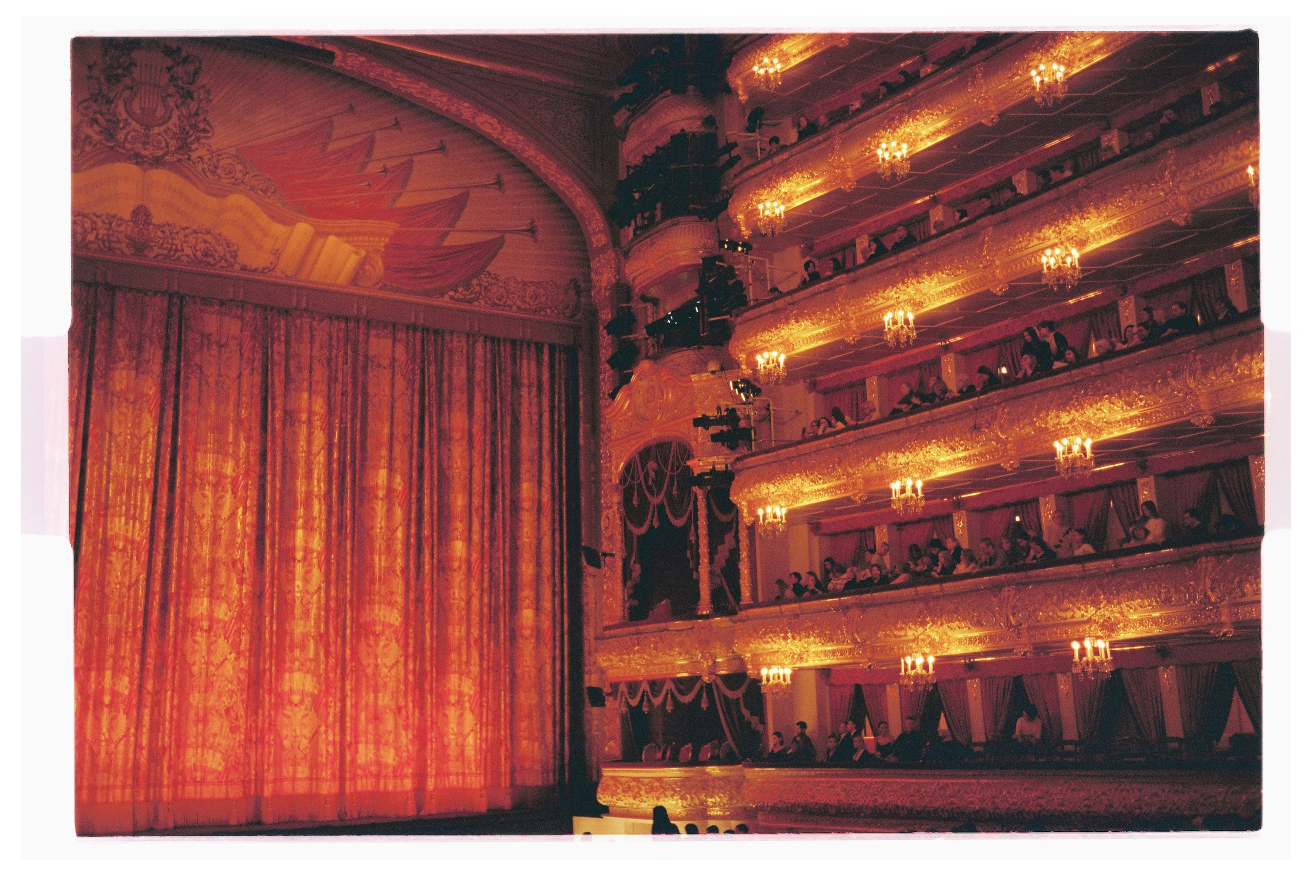 Winter/2025. Regina Platonova