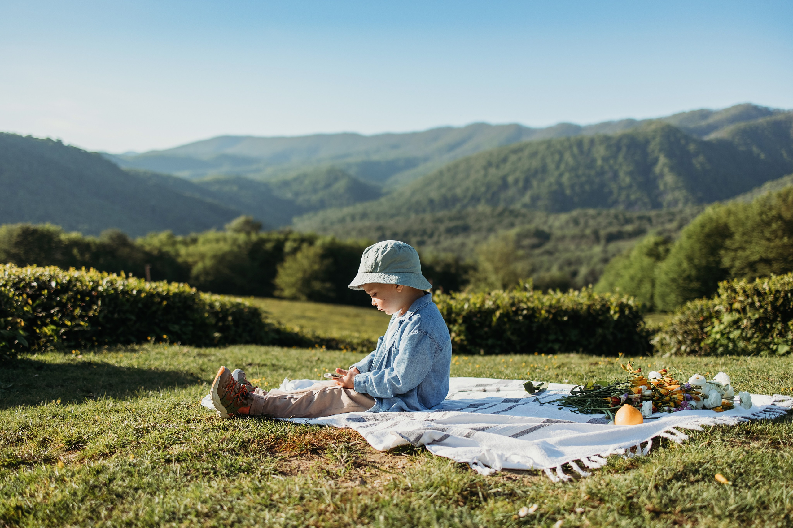 Чайные плантации мацеста. Фотограф Сочи Татьяна Зорина