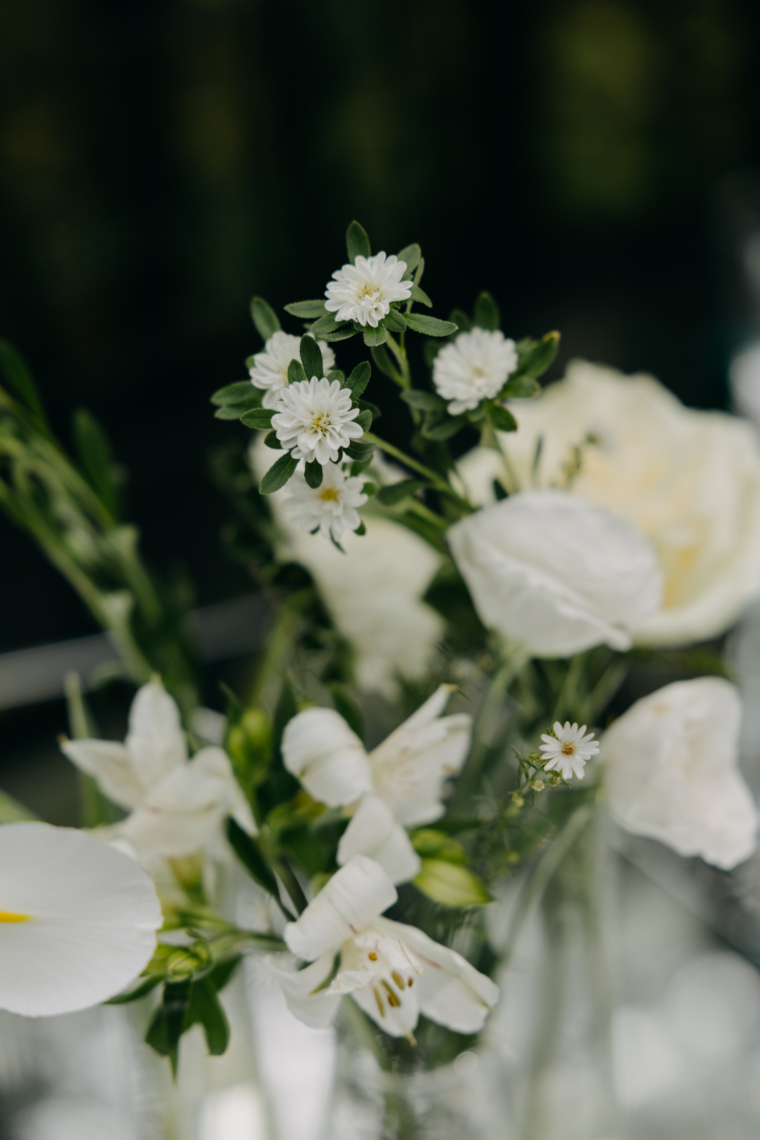 Ирина и Алексей | банкет Forest Dew. Свадебный фотограф Москва Анастасия Храмова