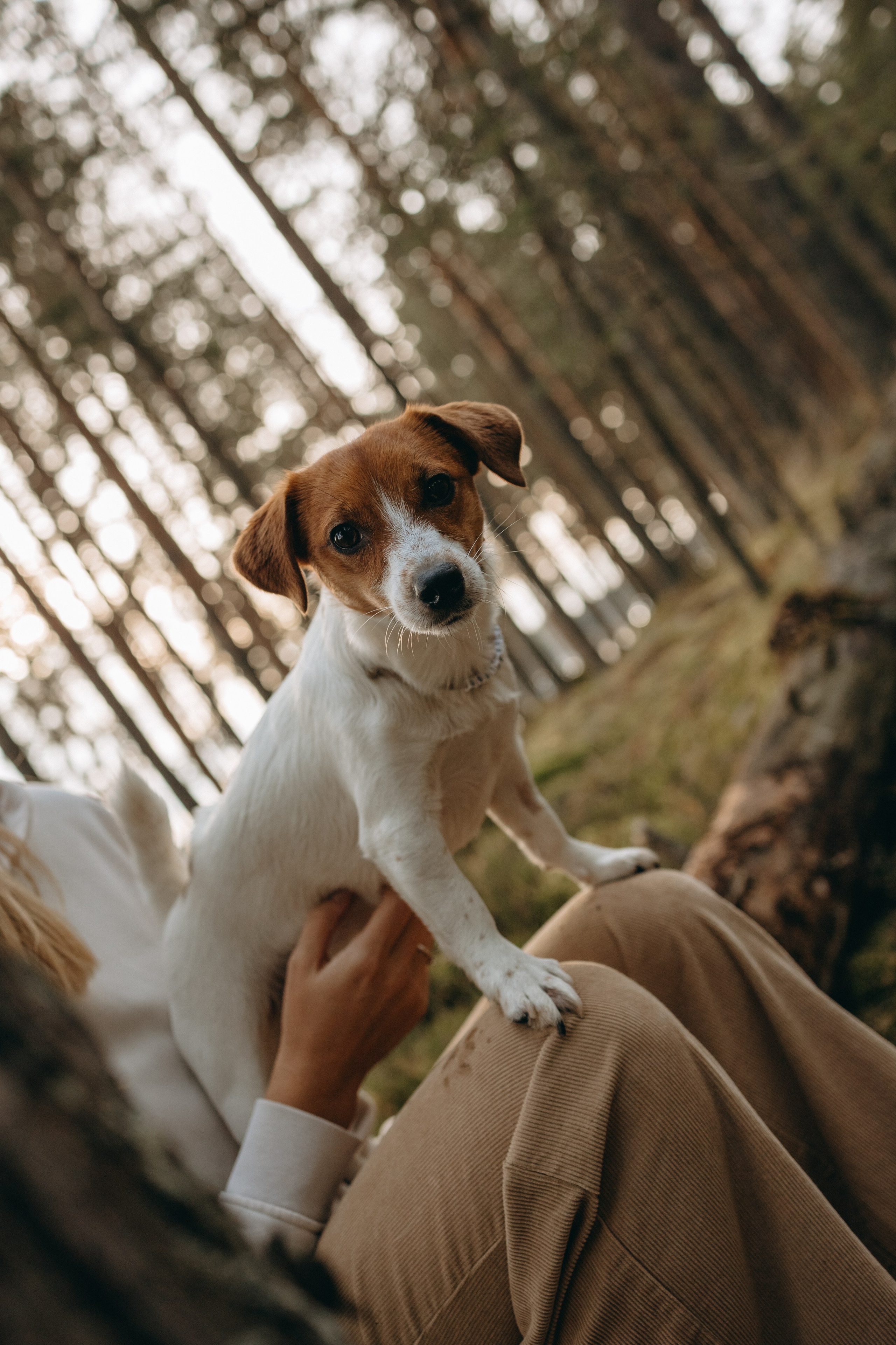 Лея и ее семья. Фотограф — Анималист | Санкт-Петербург