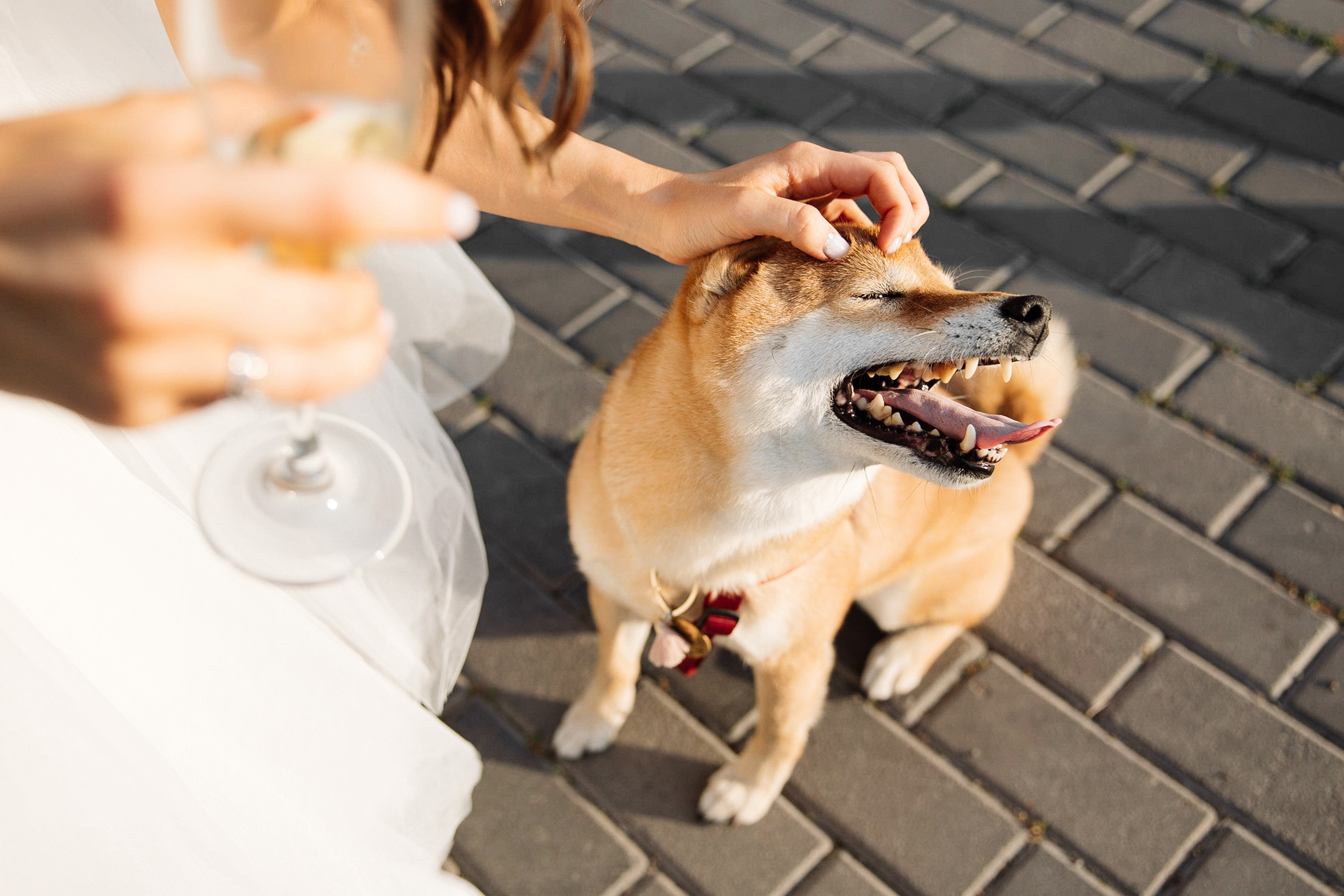 Настя и Леша. Фотограф Влад Ларионов