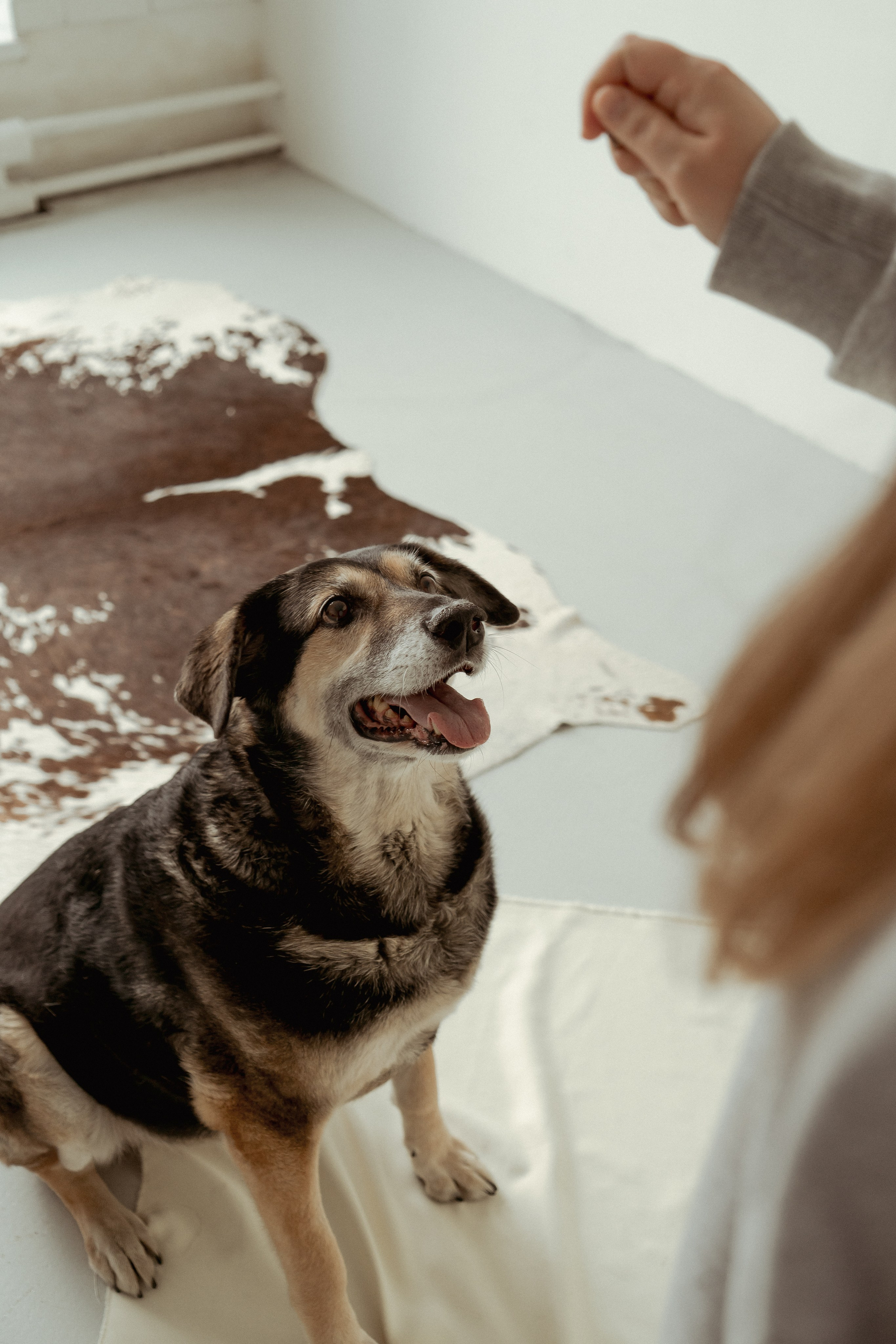 Марина и Жужа. Портретный и семейный фотограф Ксения Казанцева