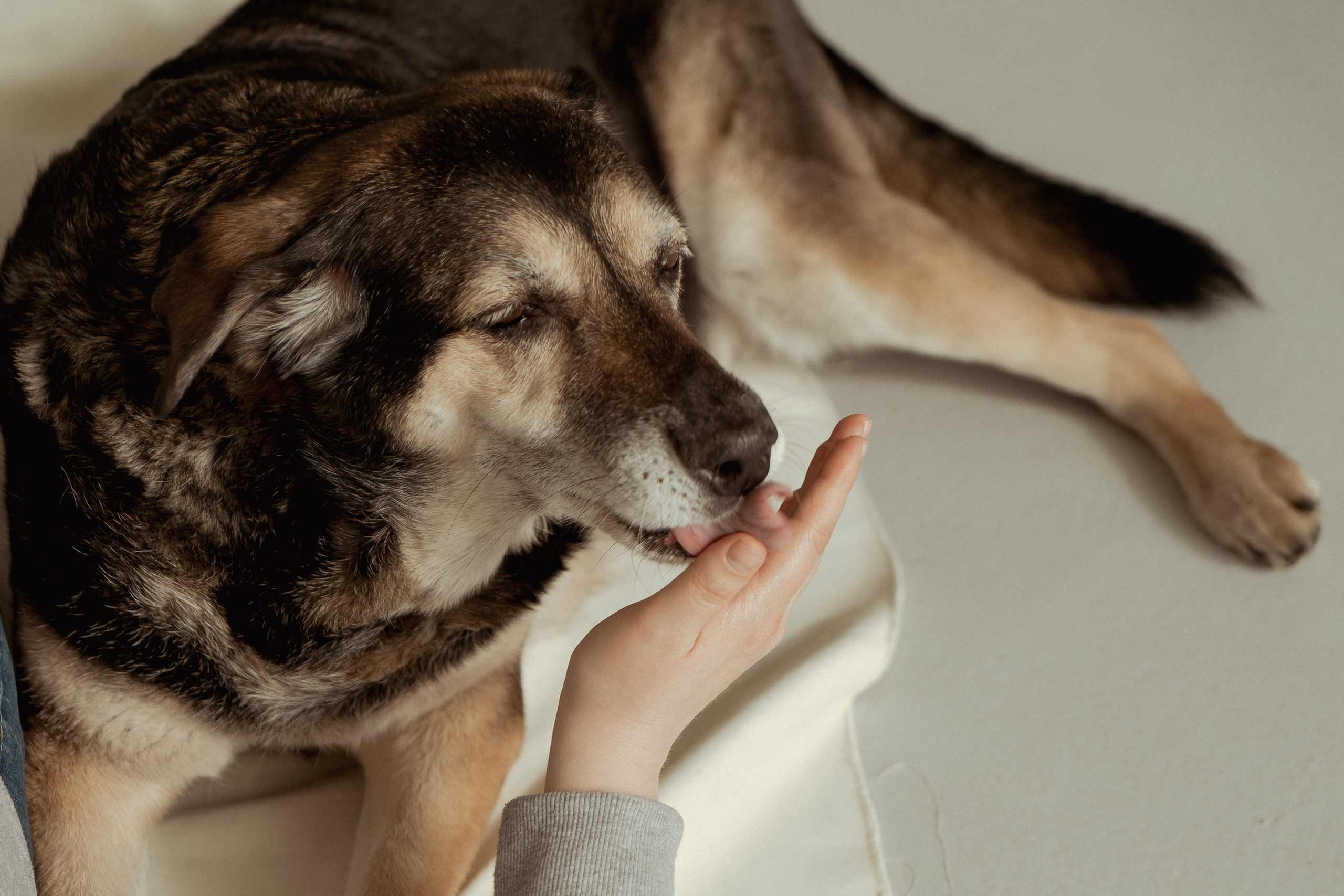 Марина и Жужа. Портретный и семейный фотограф Ксения Казанцева
