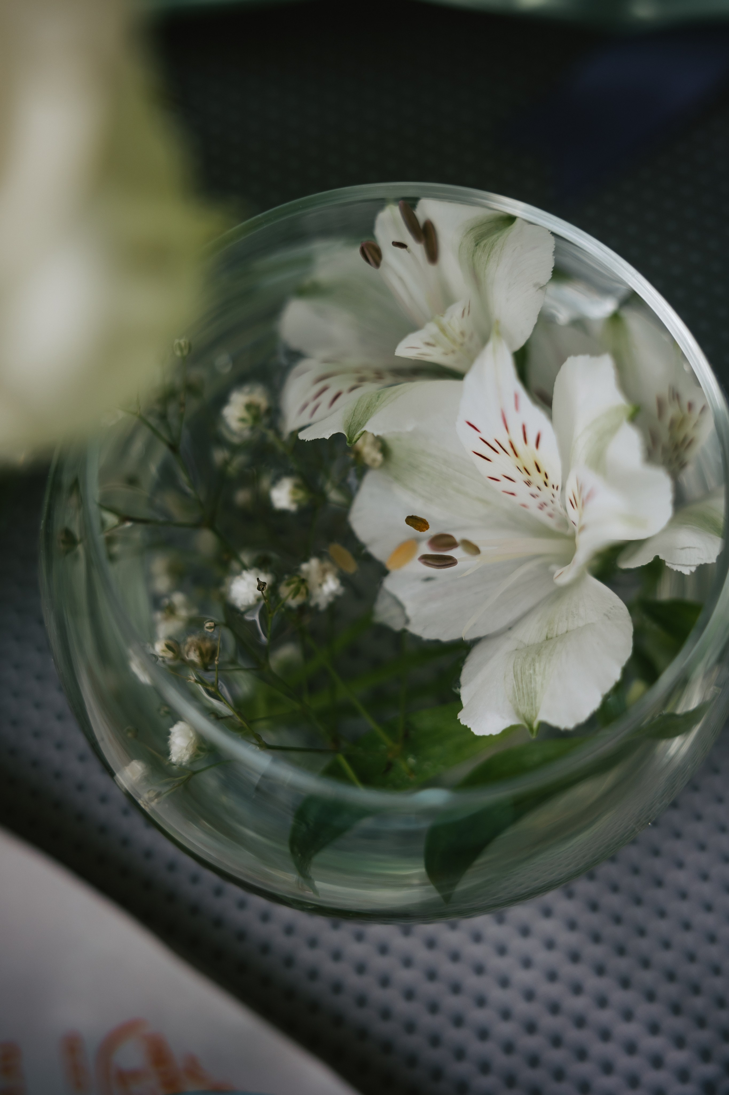 Гулина и Рома. Семейный фотограф в Казани Татьяна Андреева