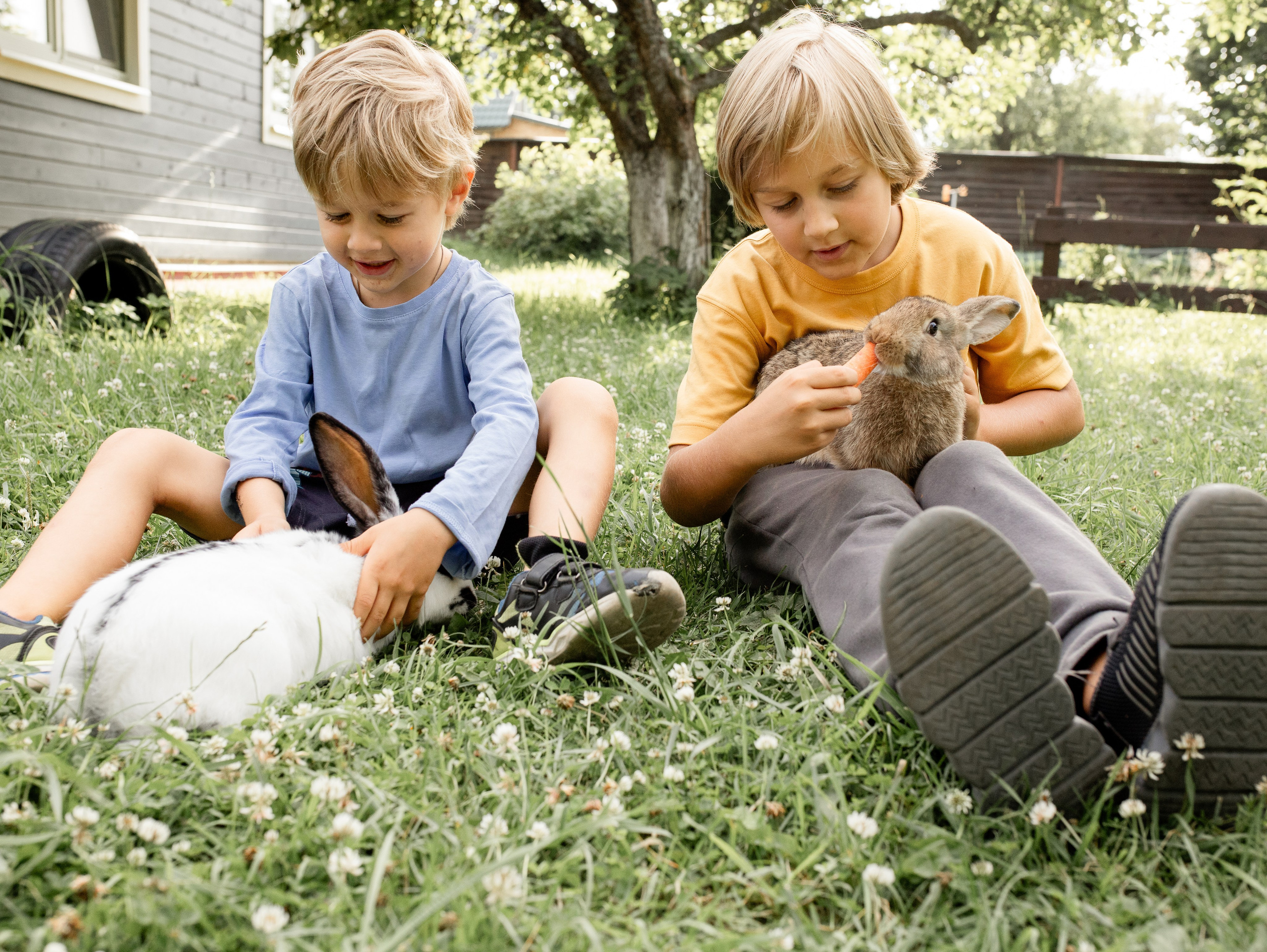 Кролики 2023. Семейный фотограф в Санкт-Петербурге Ирина Иванова