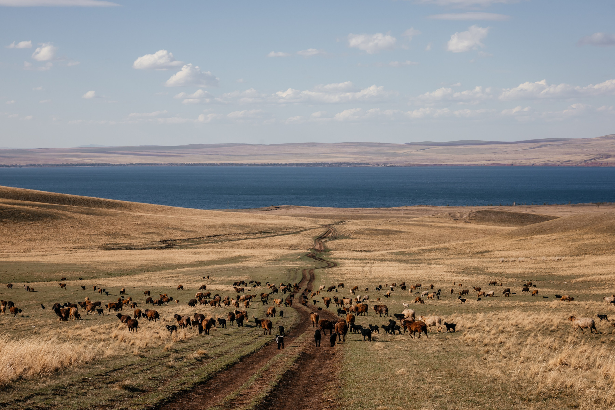 Хакассия. Фотограф в Красноярске Оксана Корчагина