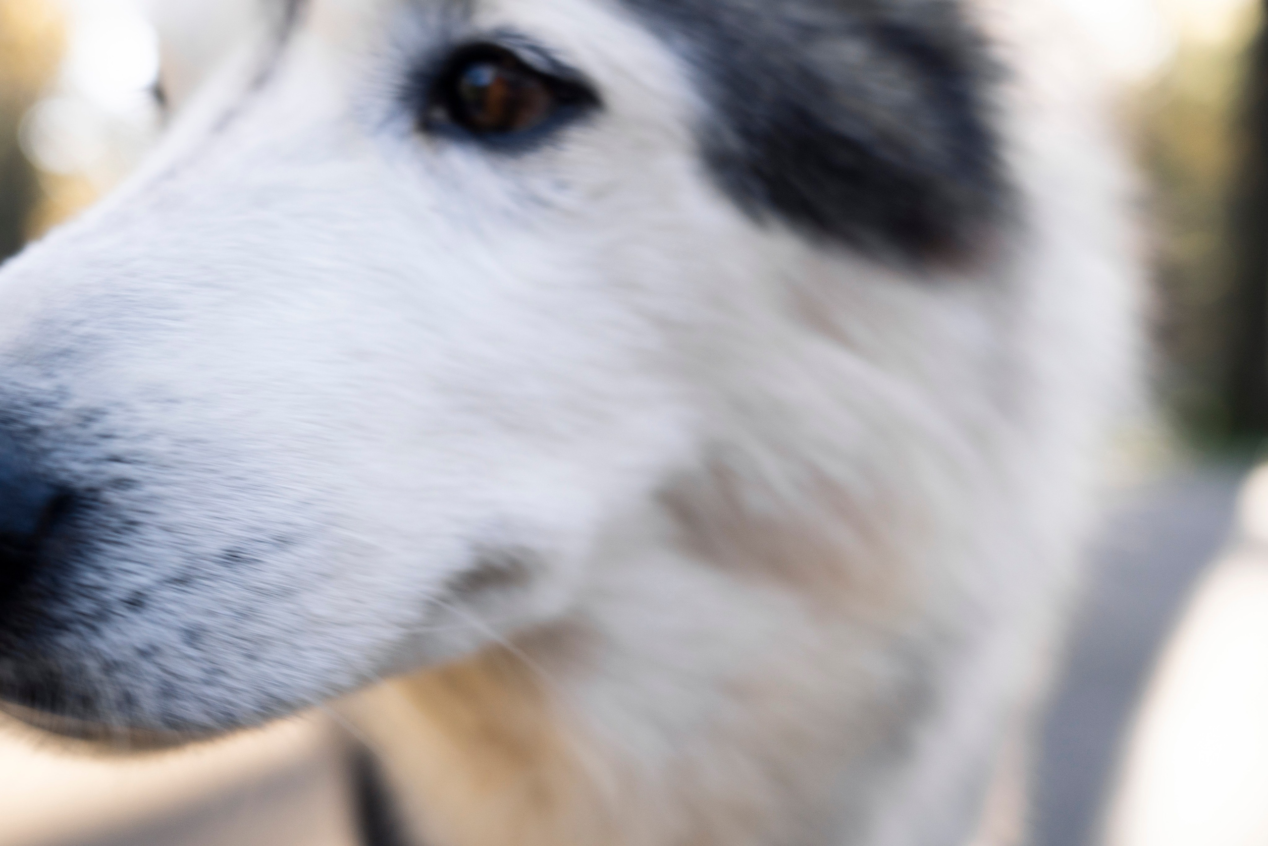 Разное неважное. Фотограф в Москве Алейникова Евгения