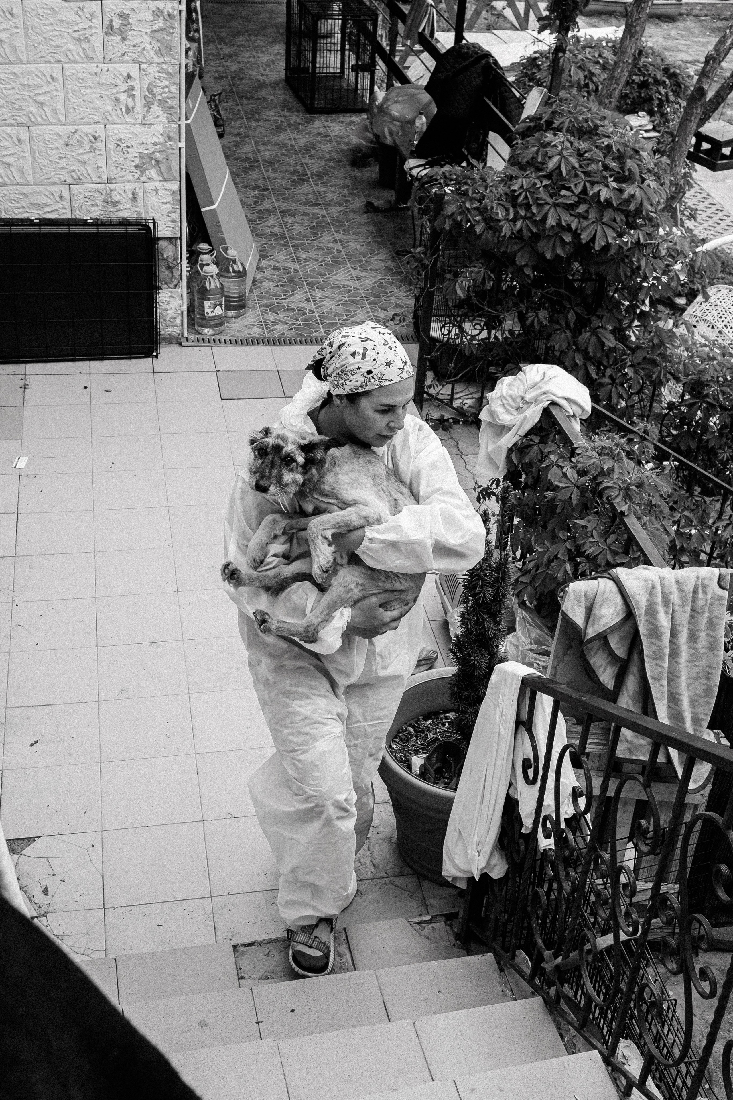 Шанс на жизнь (Животные пострадавшие в Туапсе). Фотограф Денис Труштин | dentrushtin
