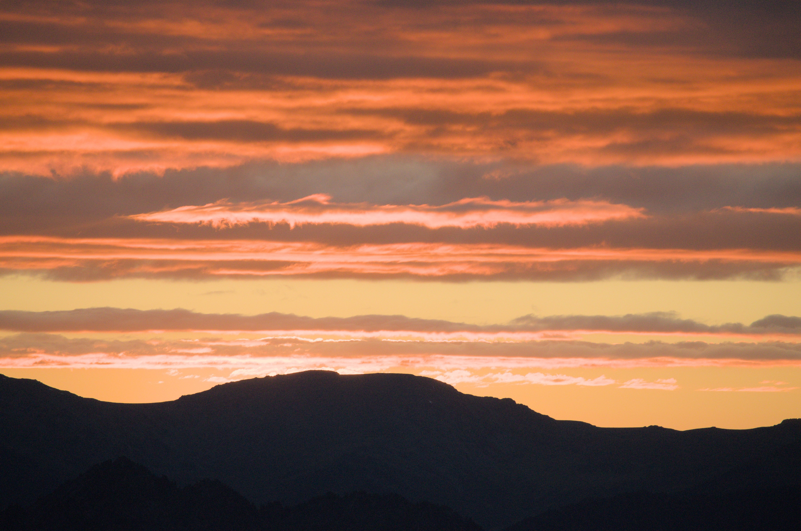 Алтай. Фотограф анималист, пейзажист, спортивные мероприятия. Новосибирск