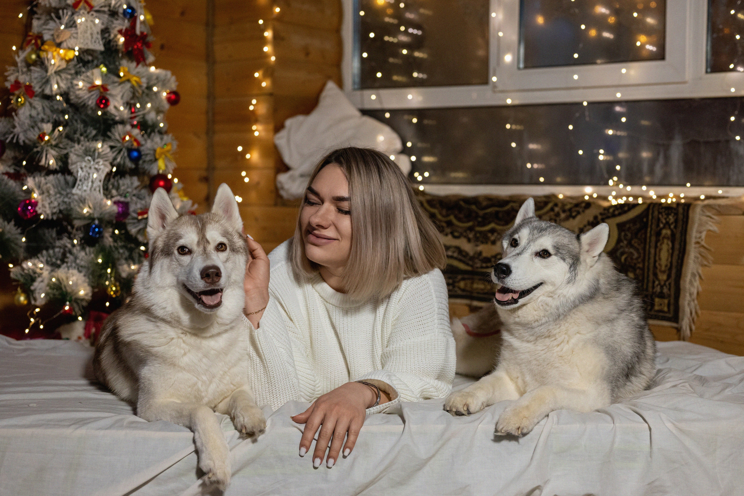 Фотопроект с хаски 2024 г. Фотограф в городе Салават