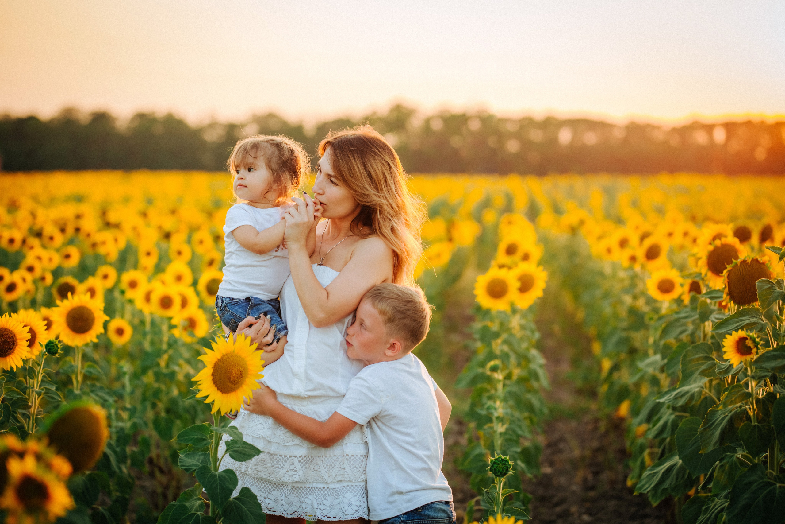 Подсолнухи!. Семейный, детский, свадебный, фотограф в городе Анапа