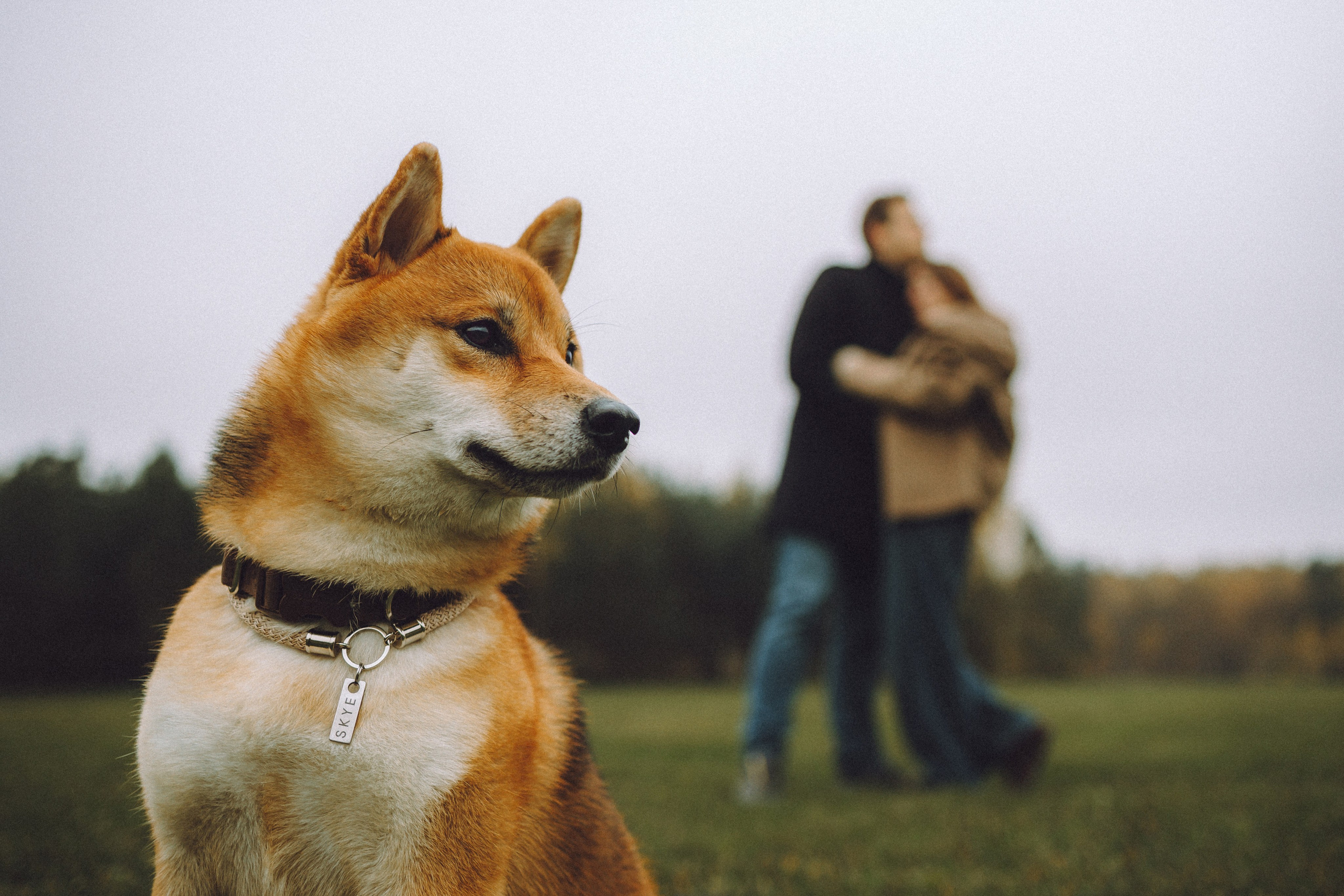 Настя, Юра и Скай