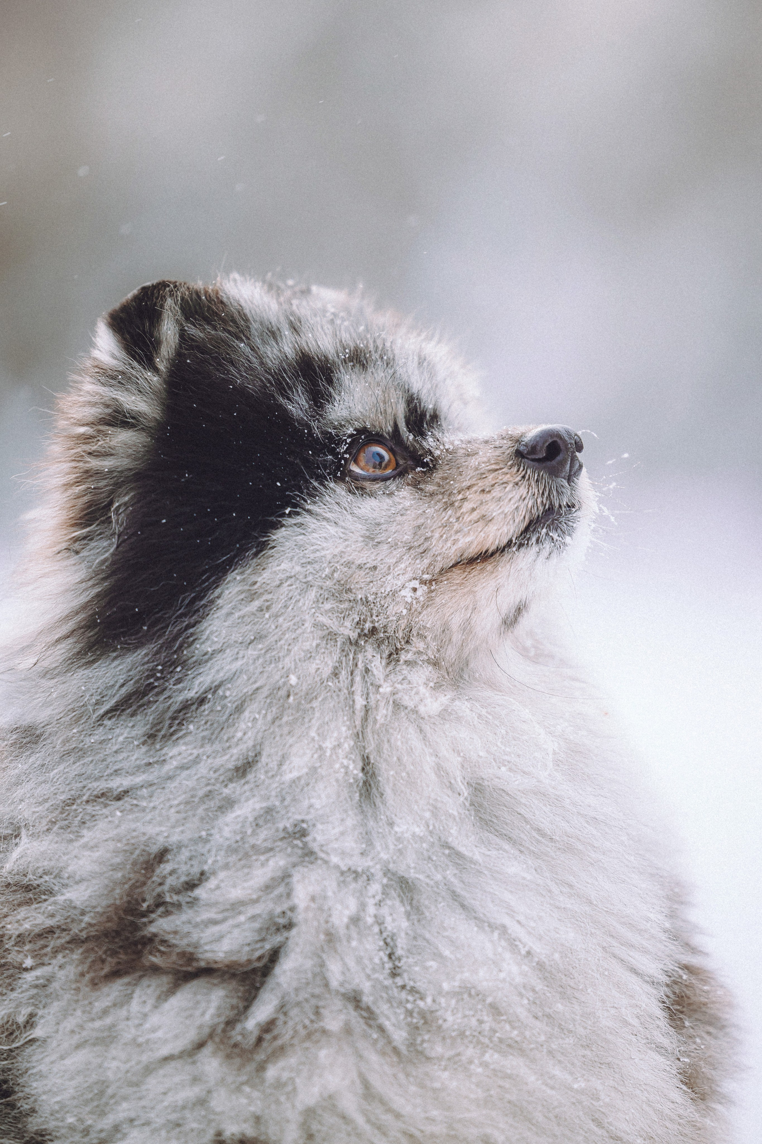 Любава и Марс