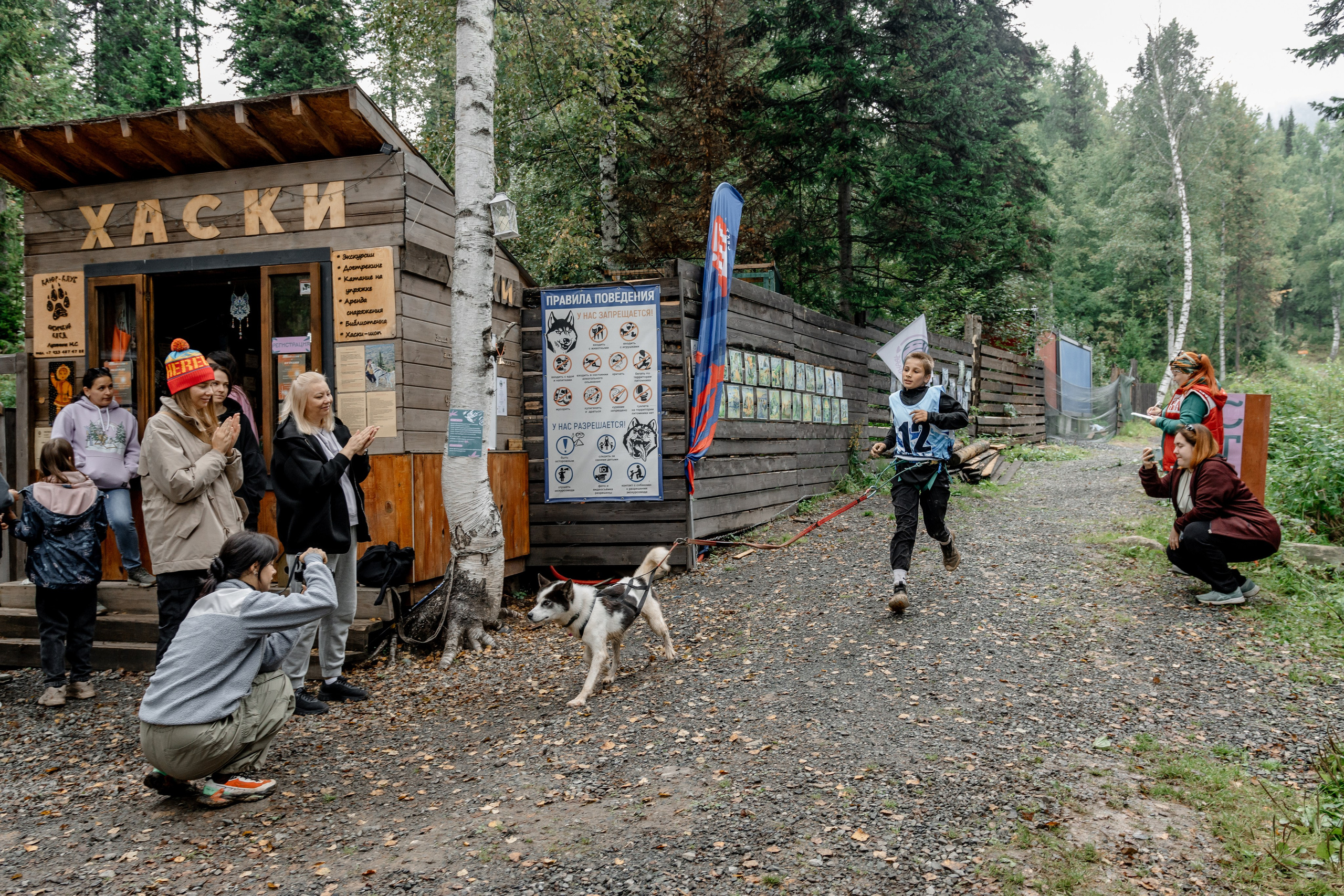 Дог-треккинг