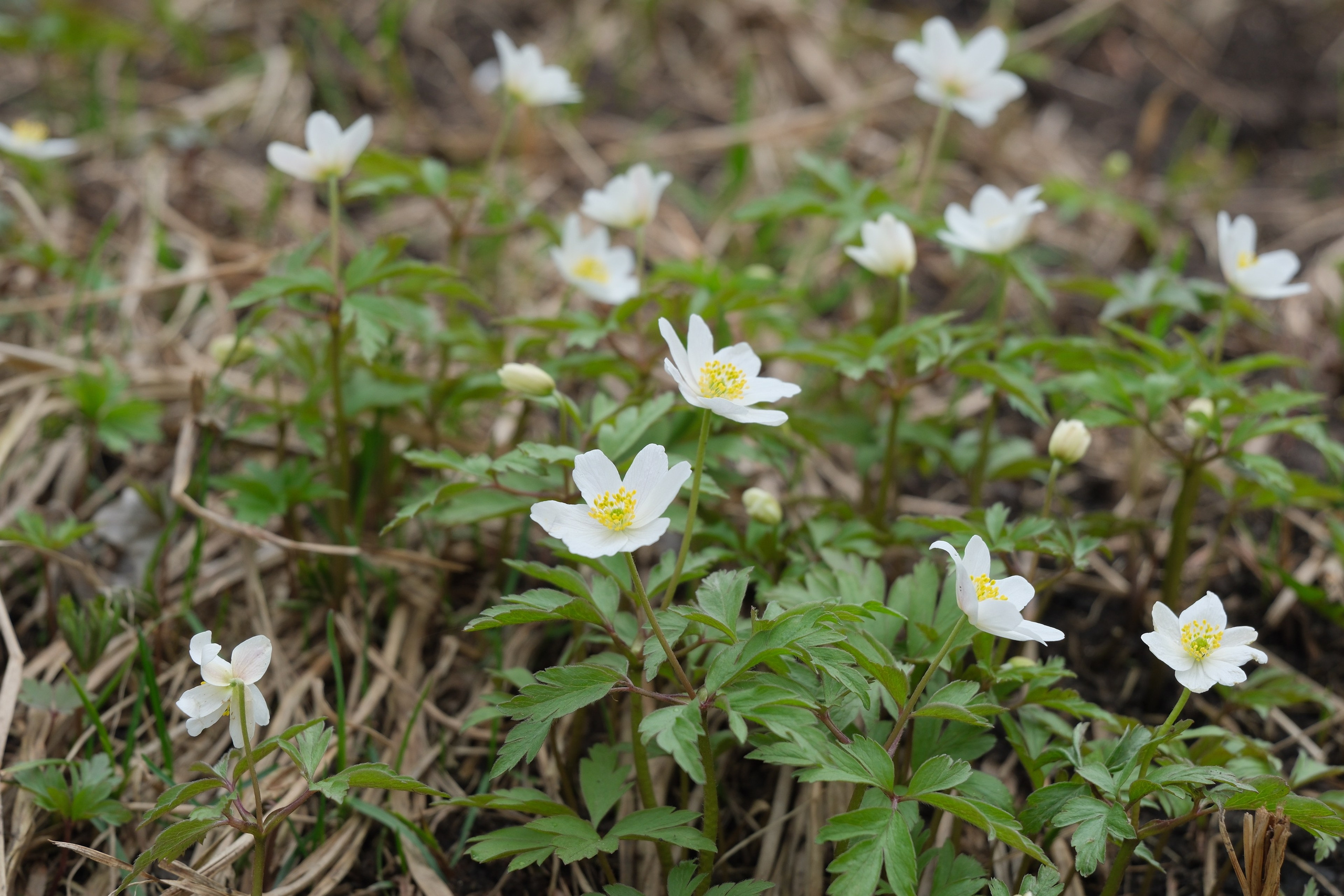 Фотограф Москва. Фотограф и художник в Москве Евгения Нюнина